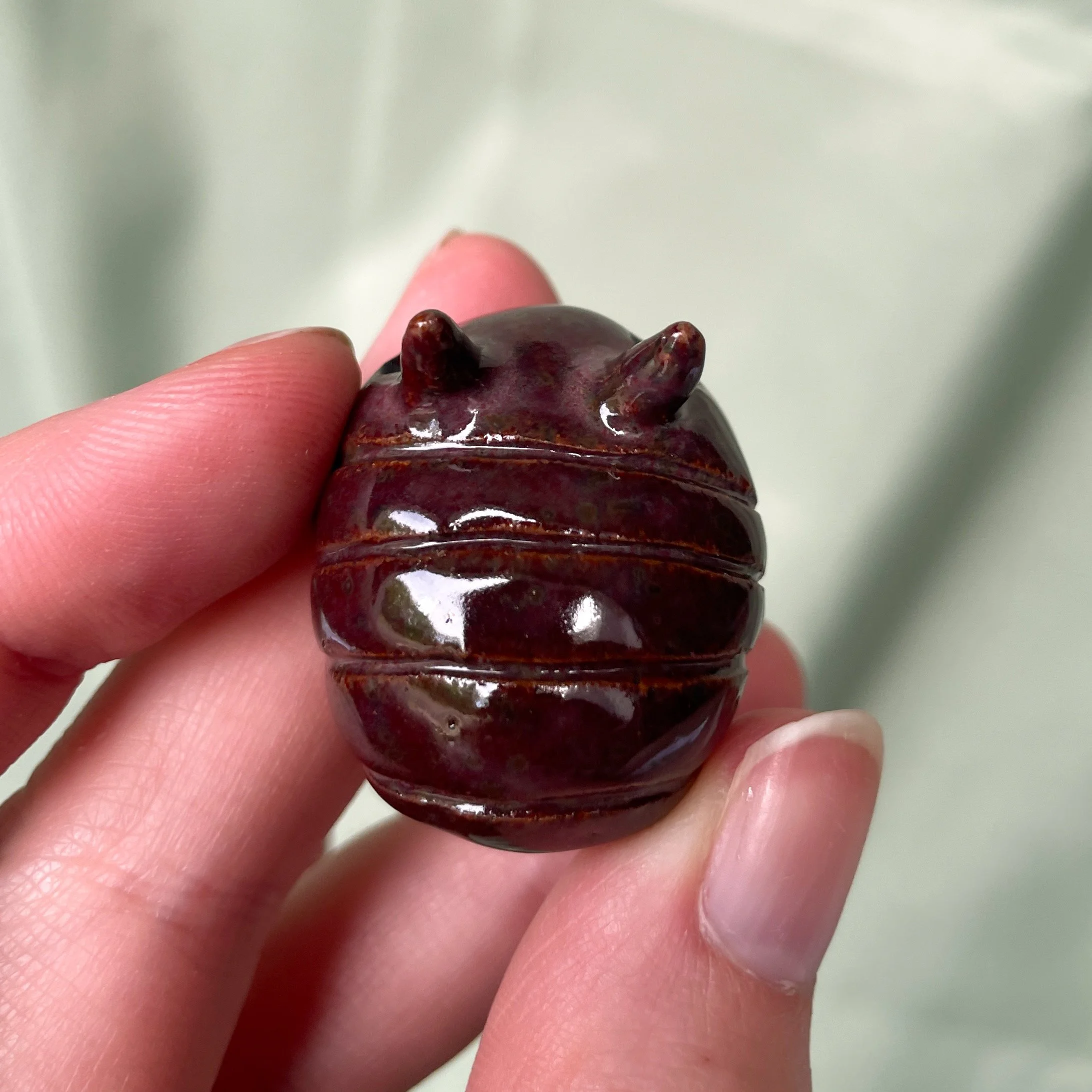 pillbug plum.JPEG