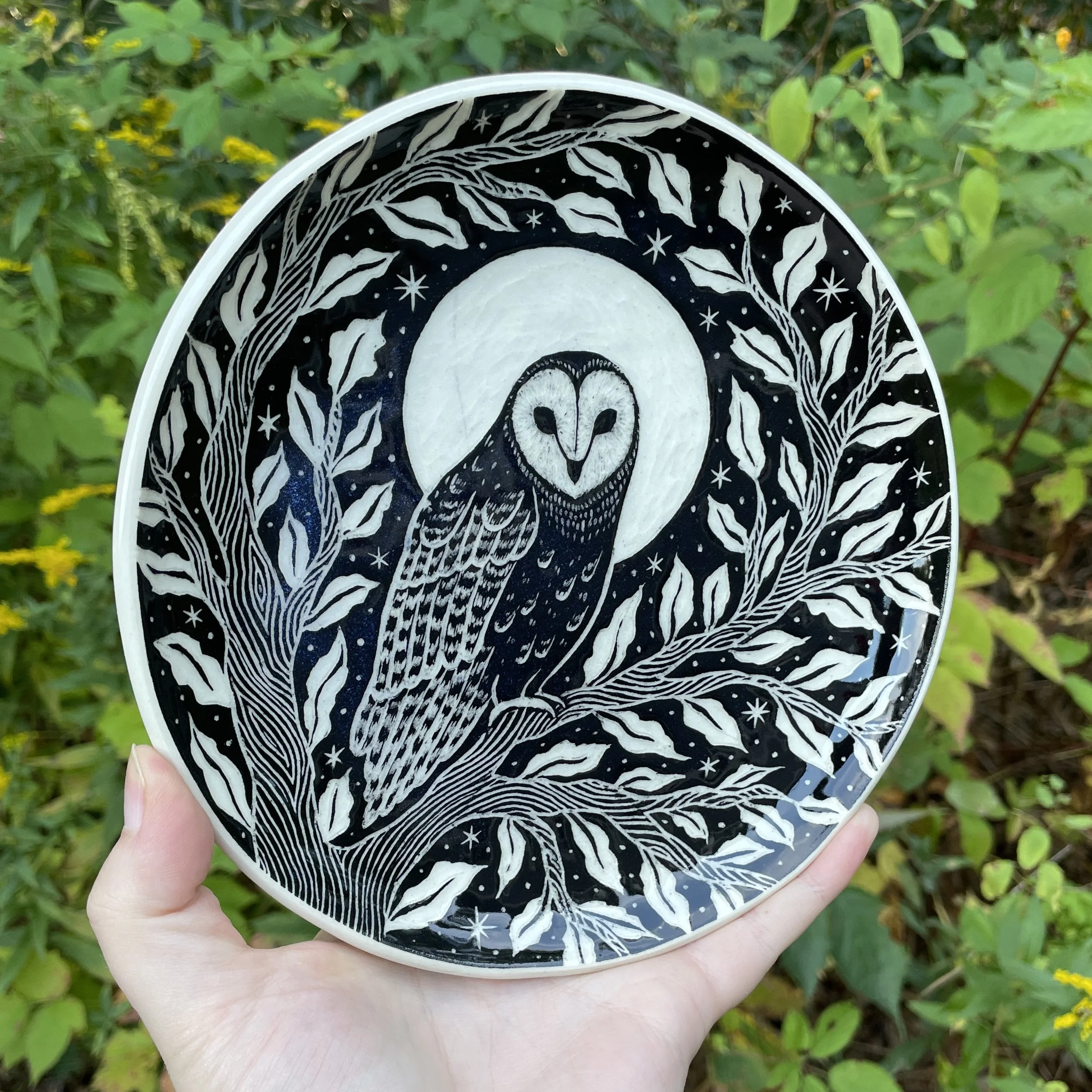 dish owl 5.jpg