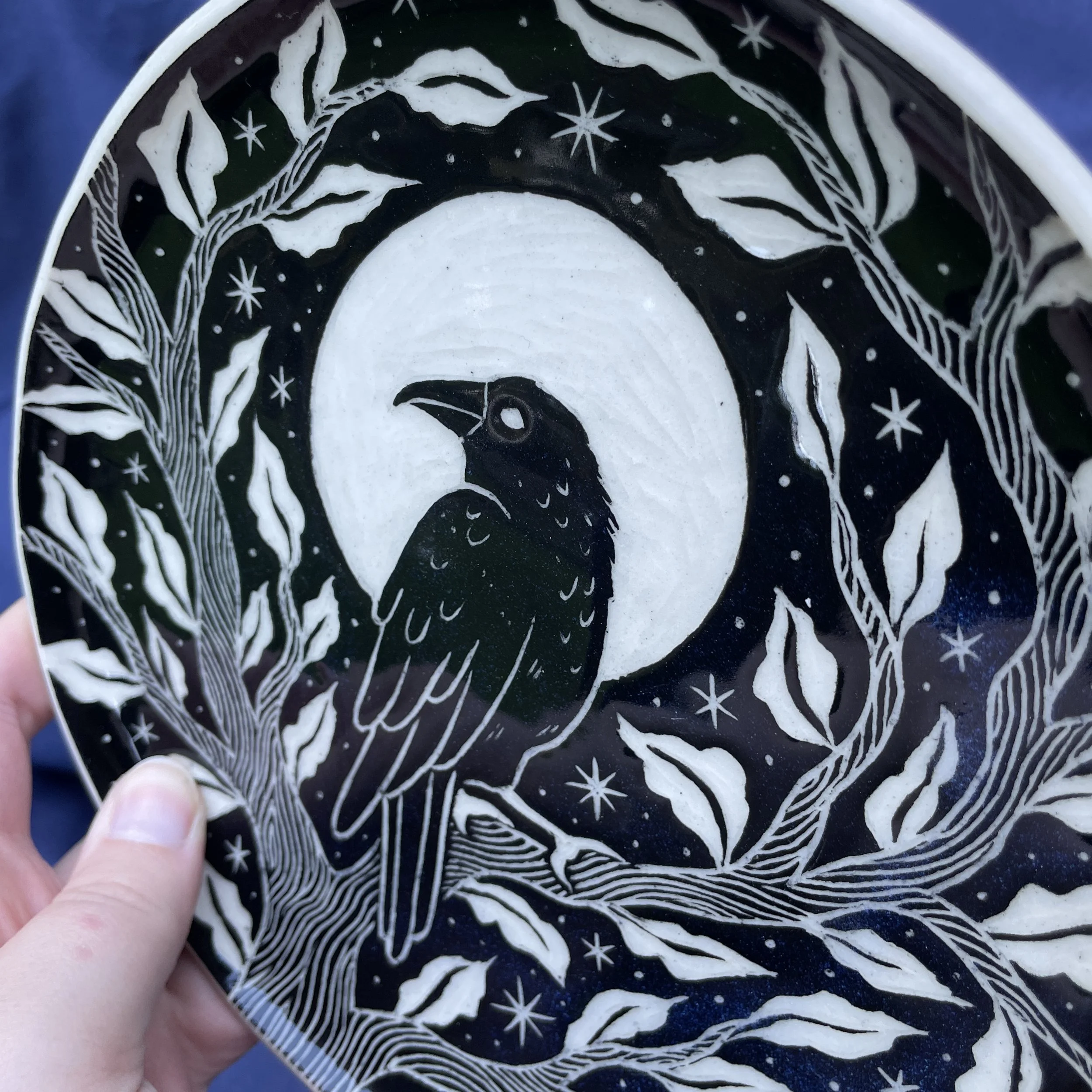 dish crow 3.jpg