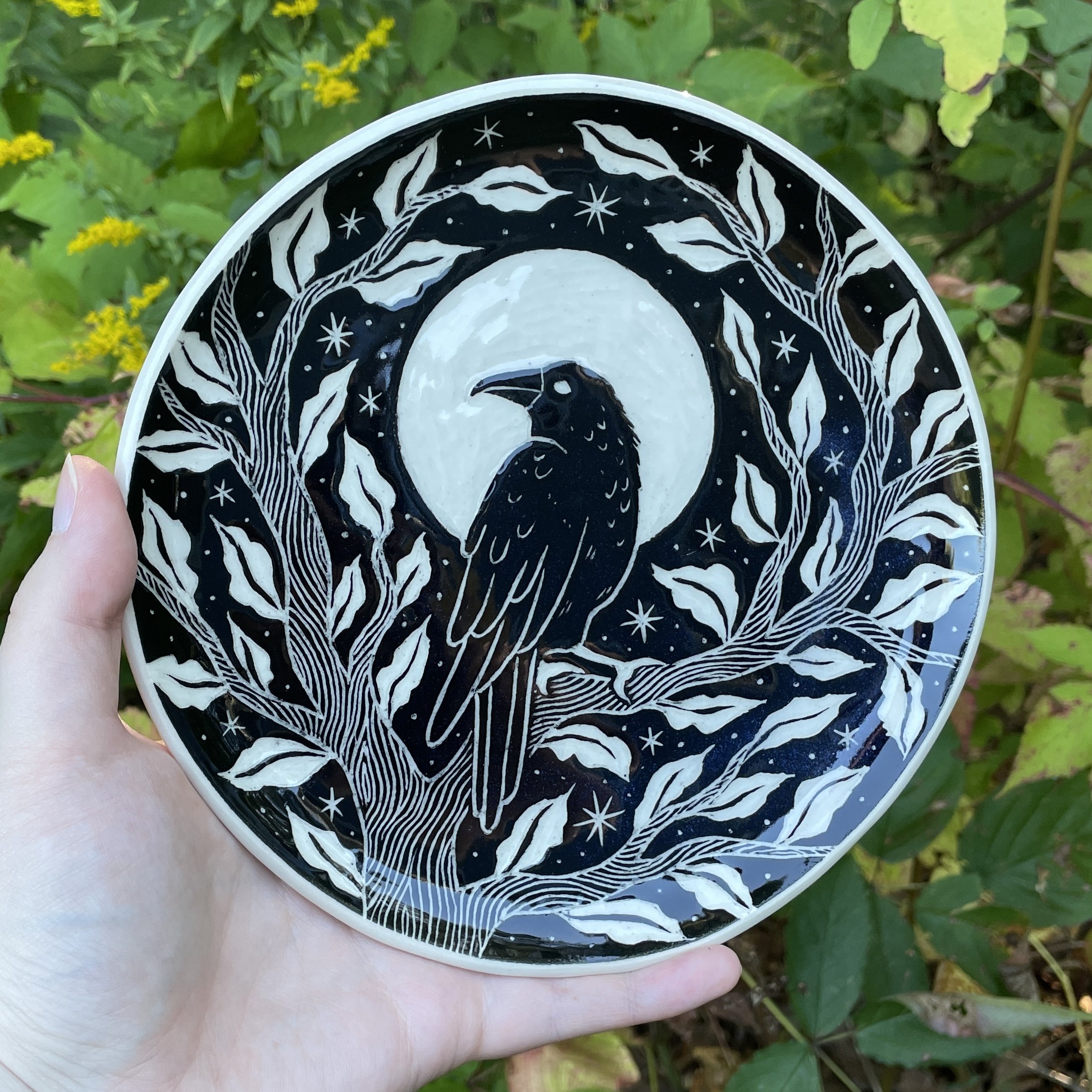 Dish - Crow