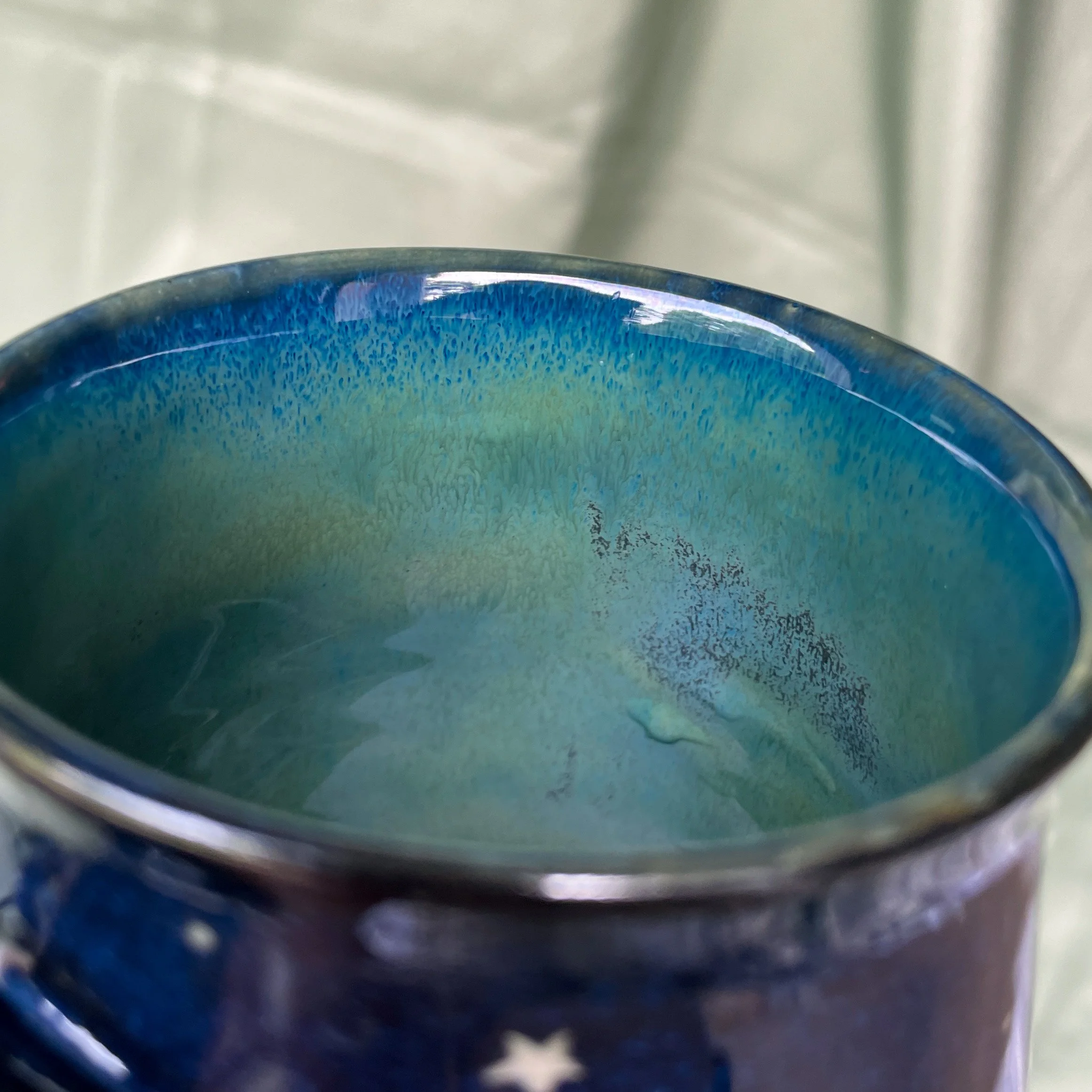 dragonflies mug b interior.JPEG