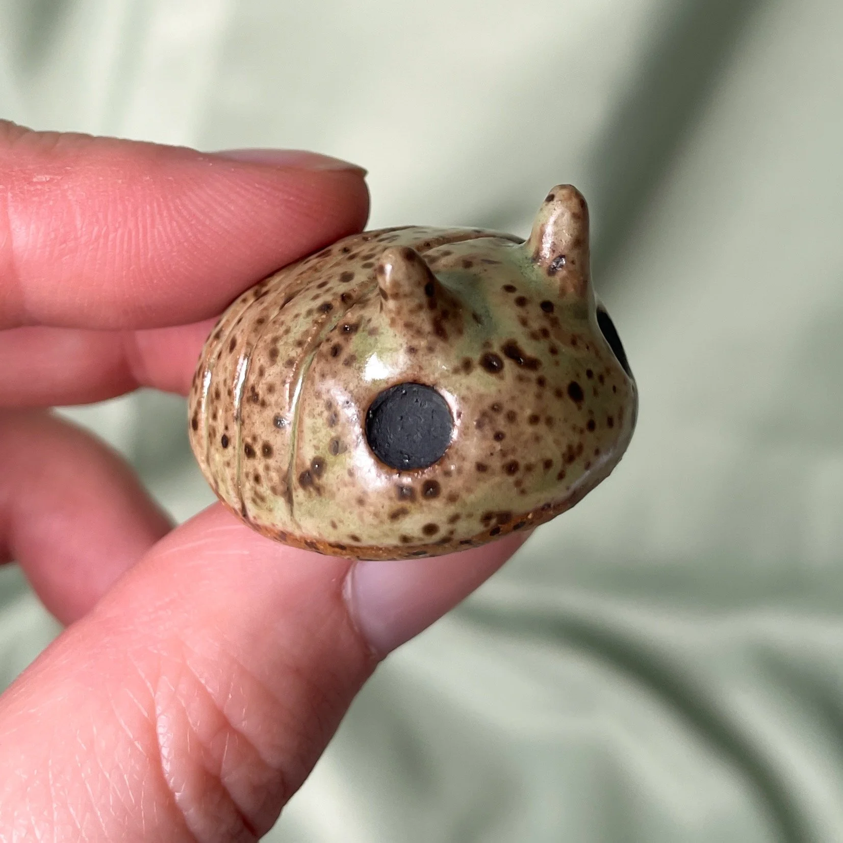 pillbug closeup.JPEG
