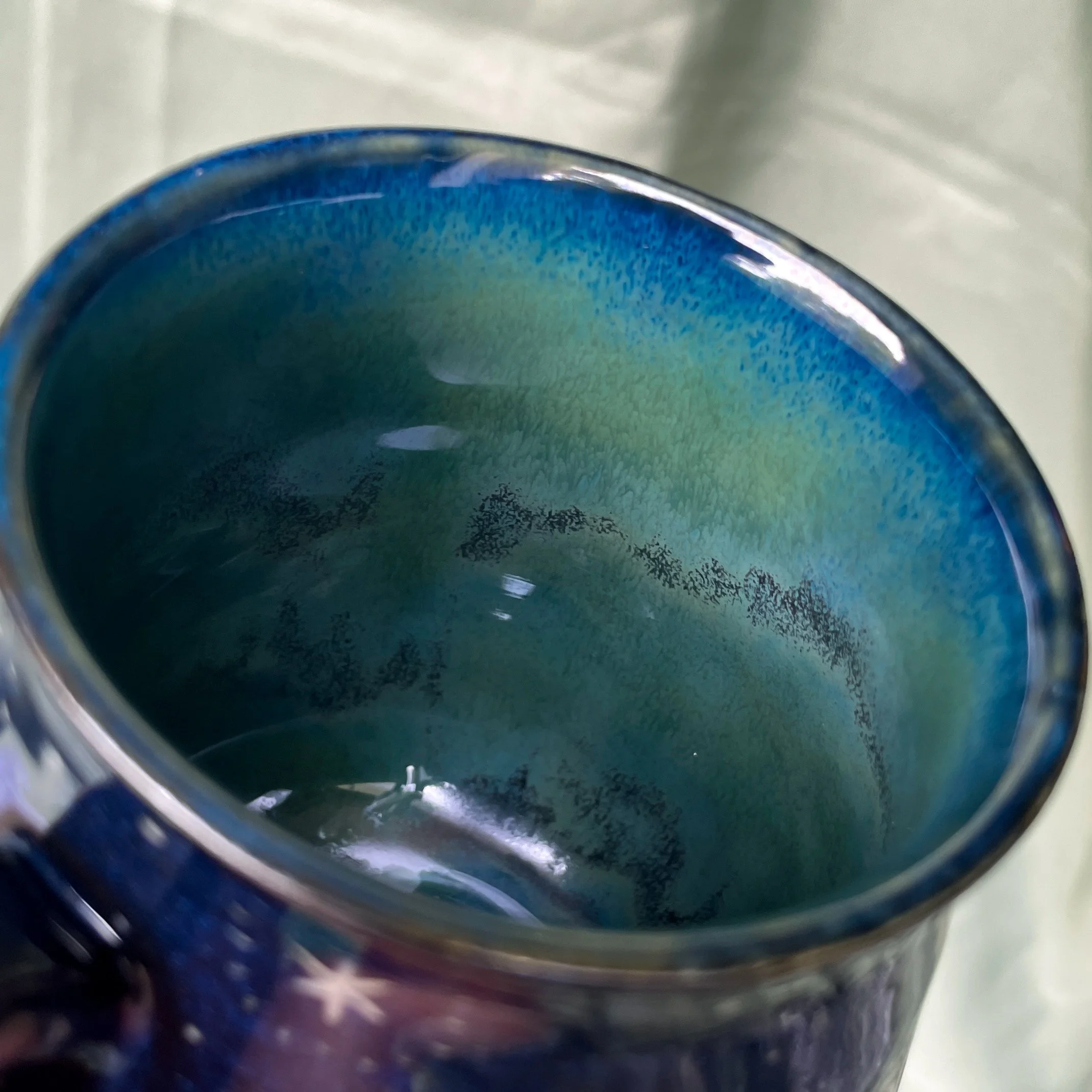 moth mug a interior.JPEG