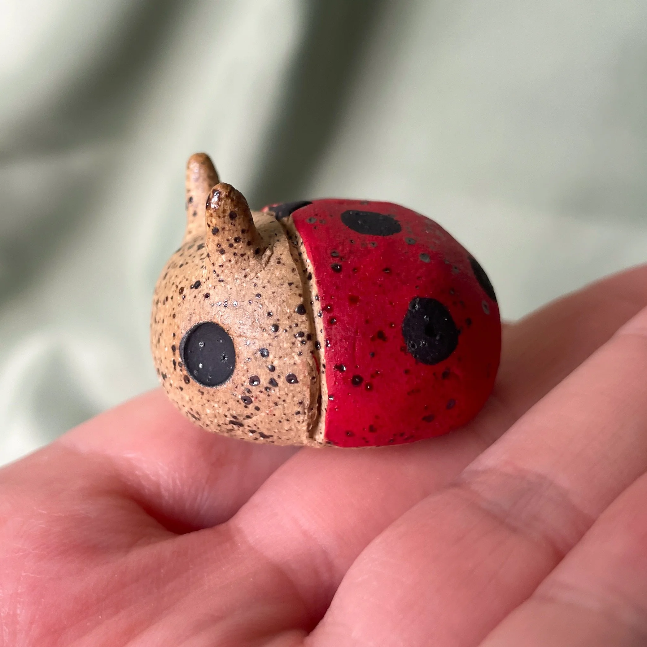 ceramic ladybug matte 2.JPEG