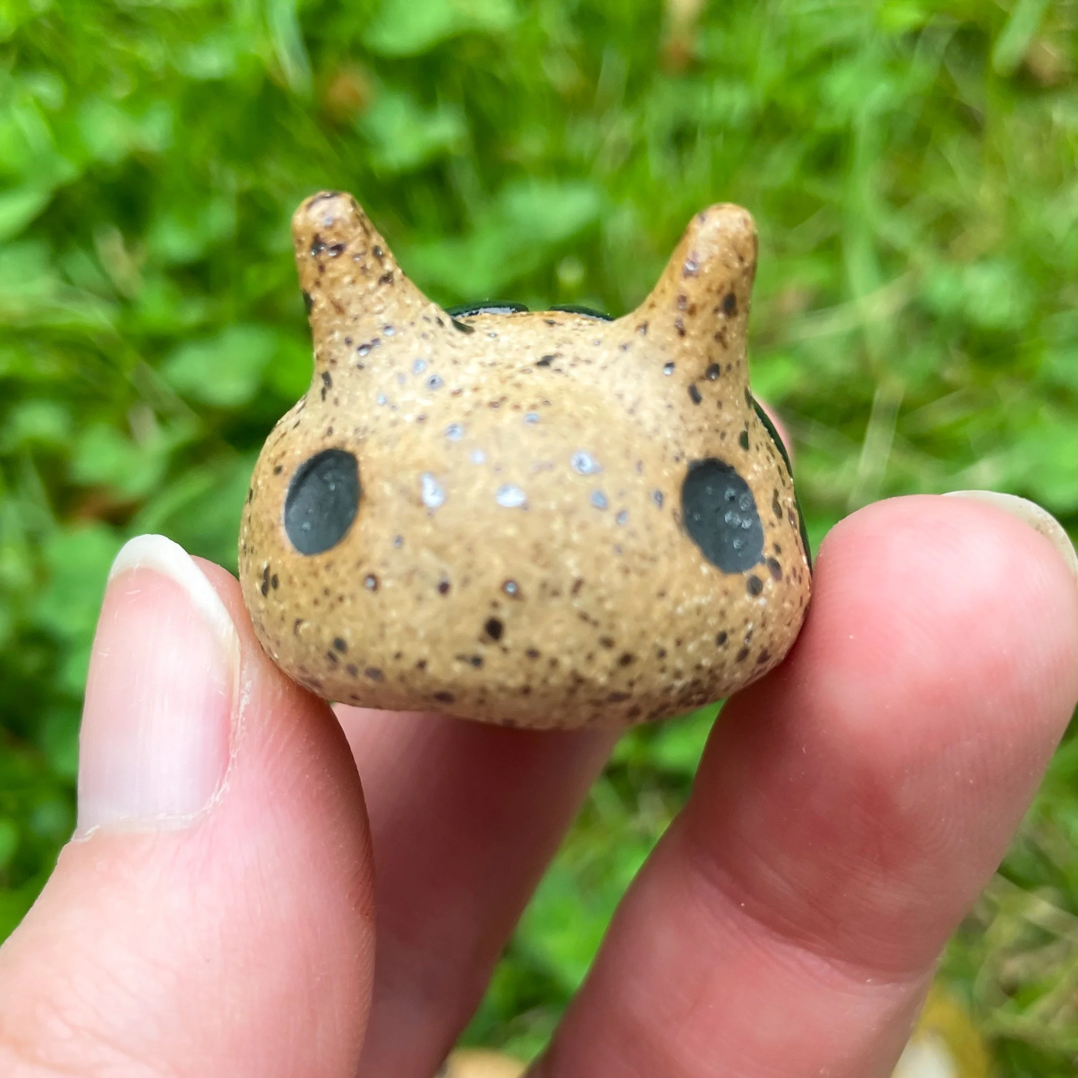 speckle beetle face.JPEG