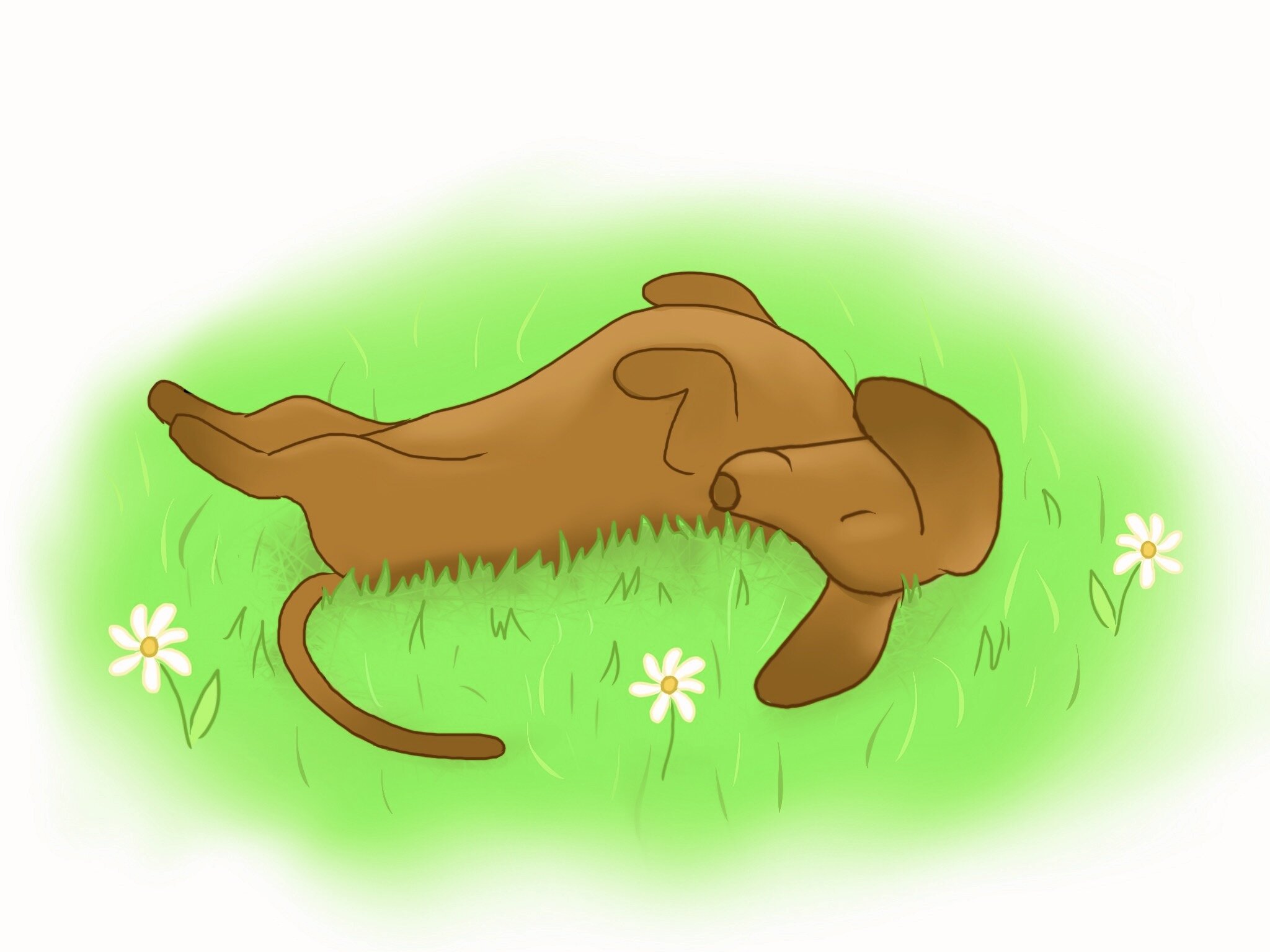 RollingGrass.jpeg