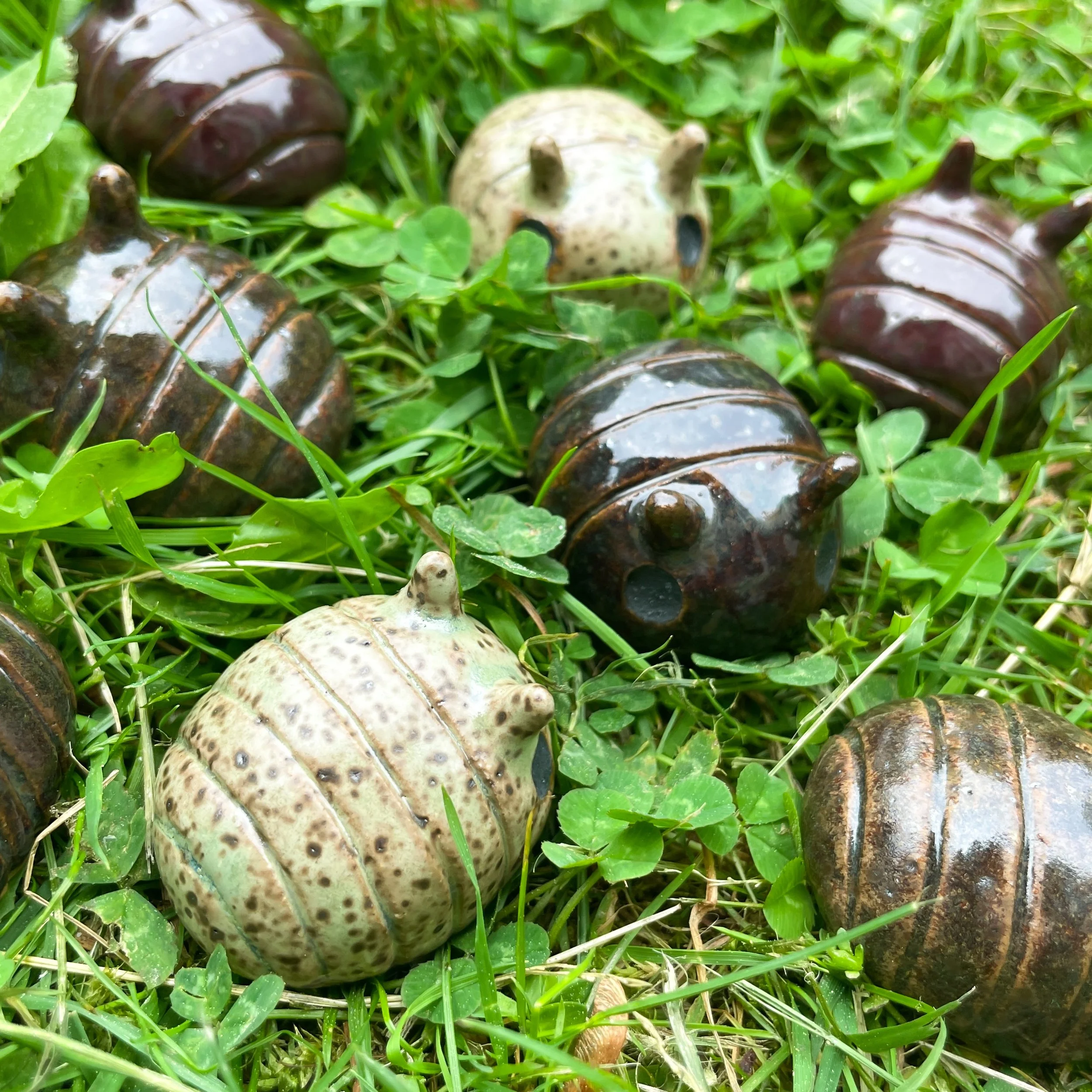 pillbugs grass.JPEG