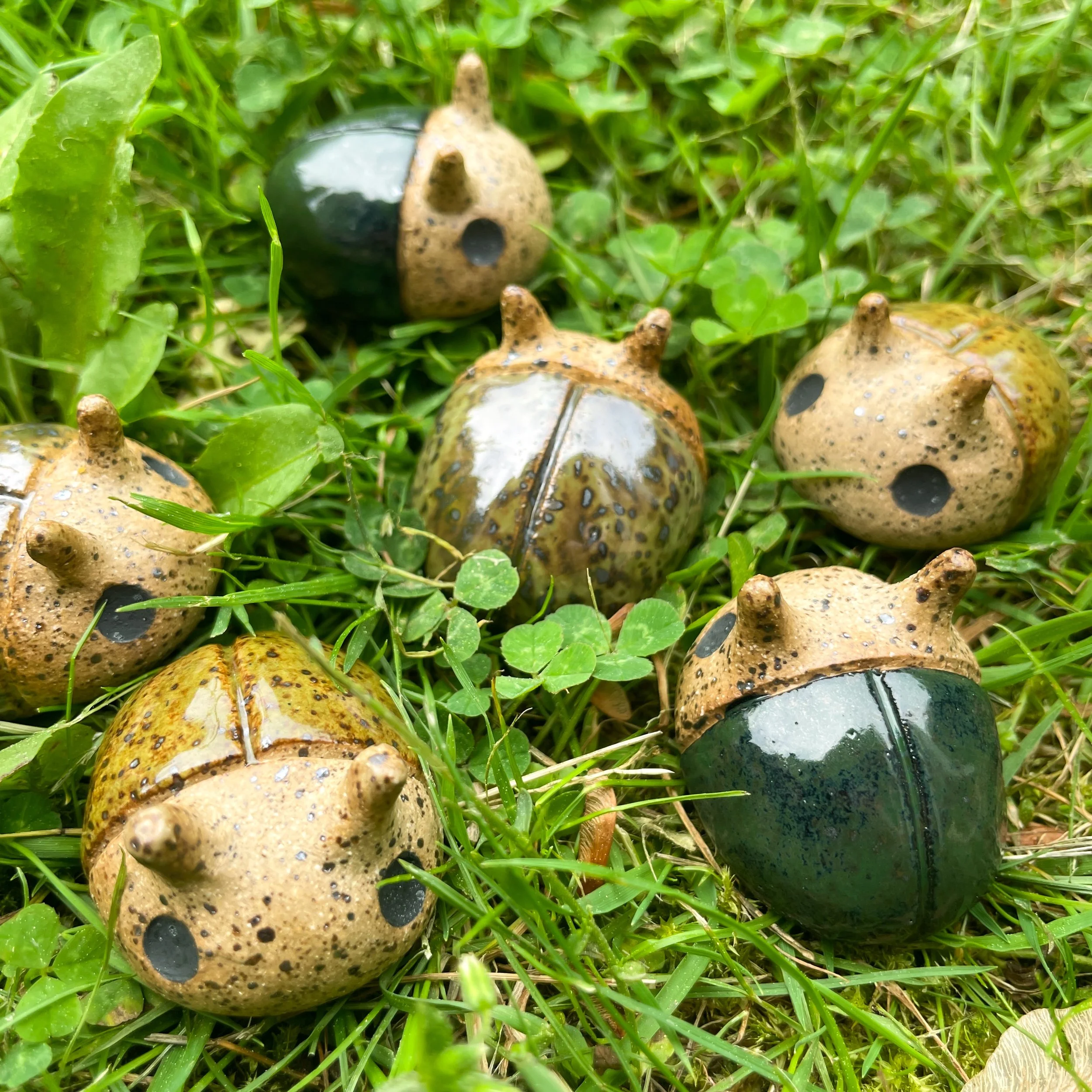 Ceramic Beetles