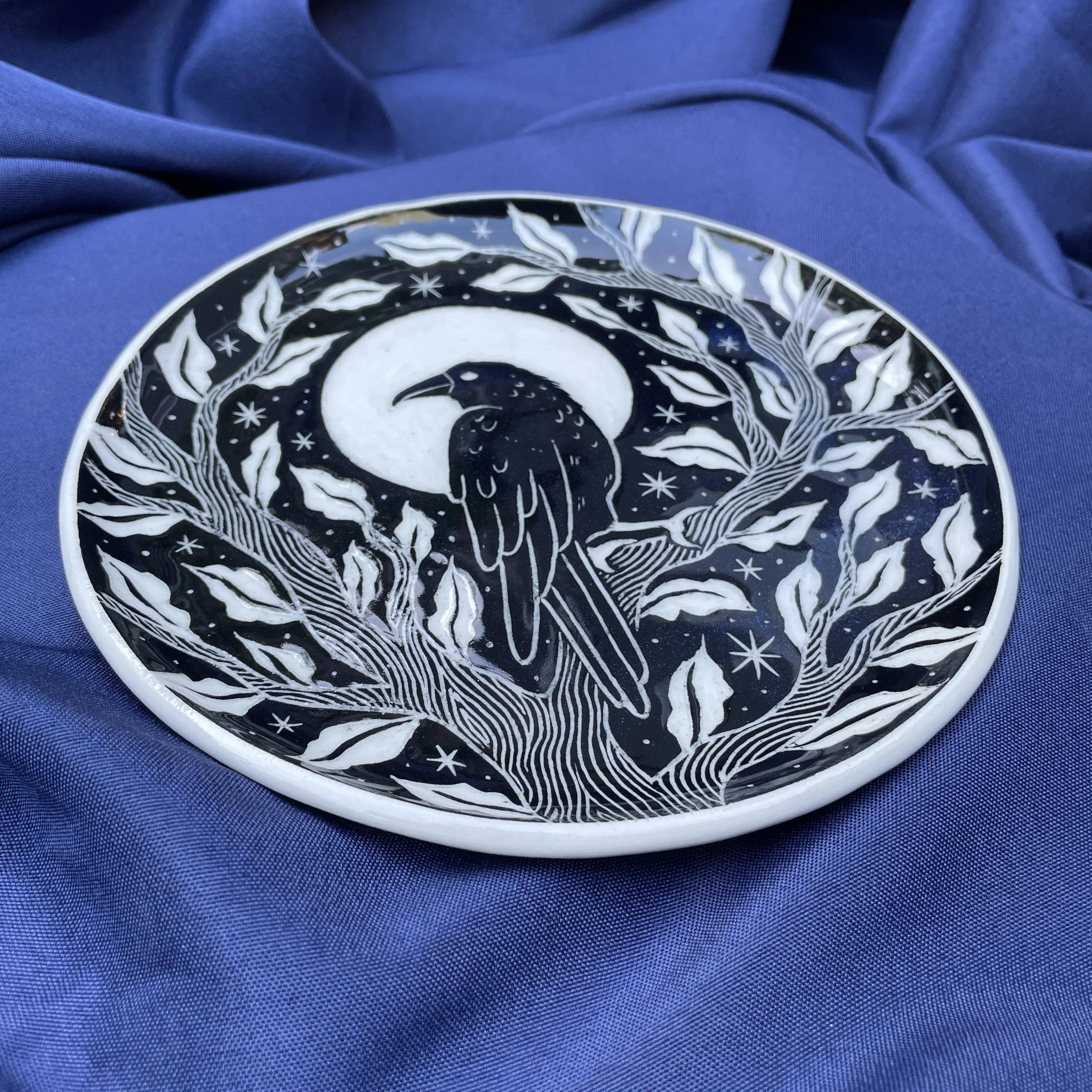 dish crow 2.jpg