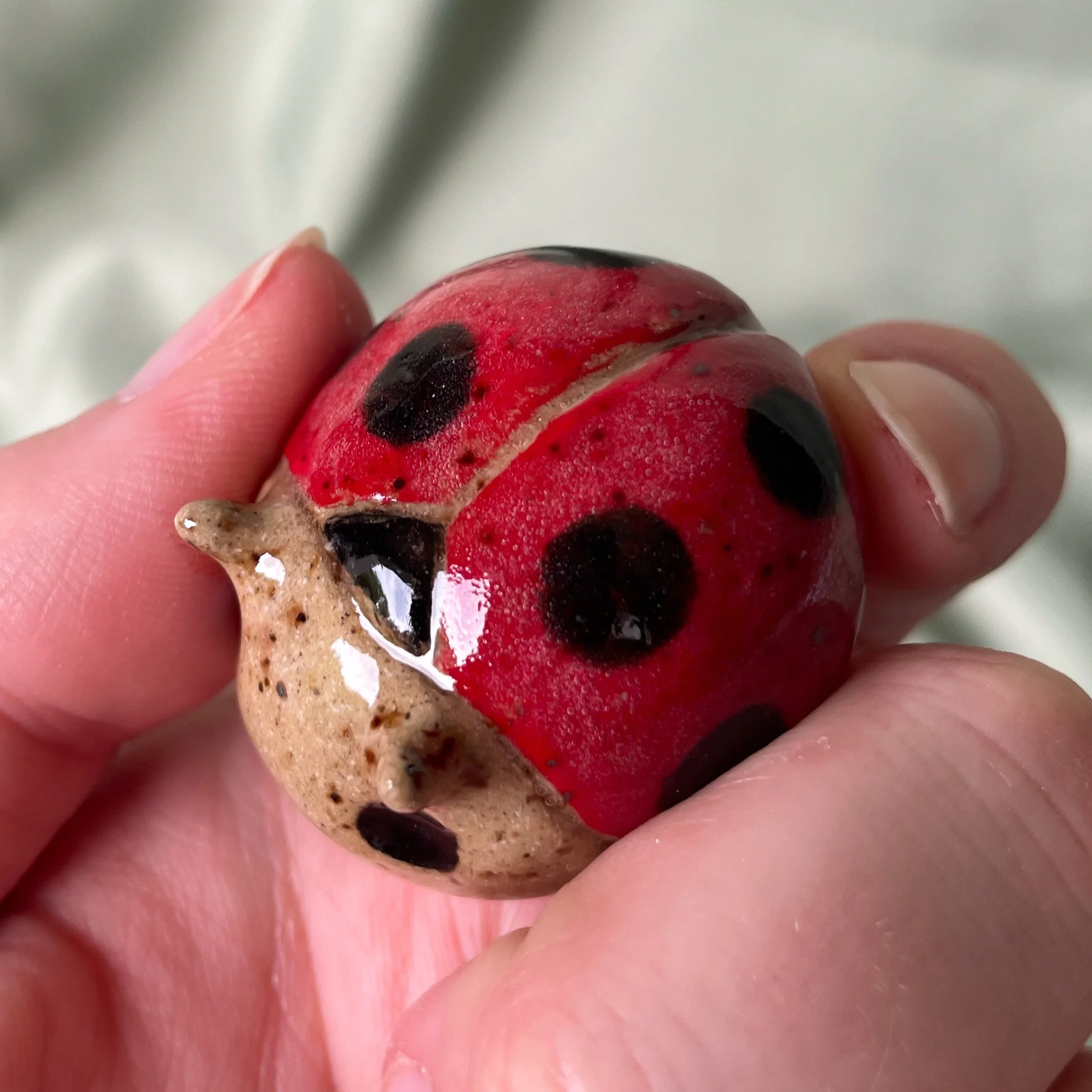 ceramic ladybug glossy 2.JPEG