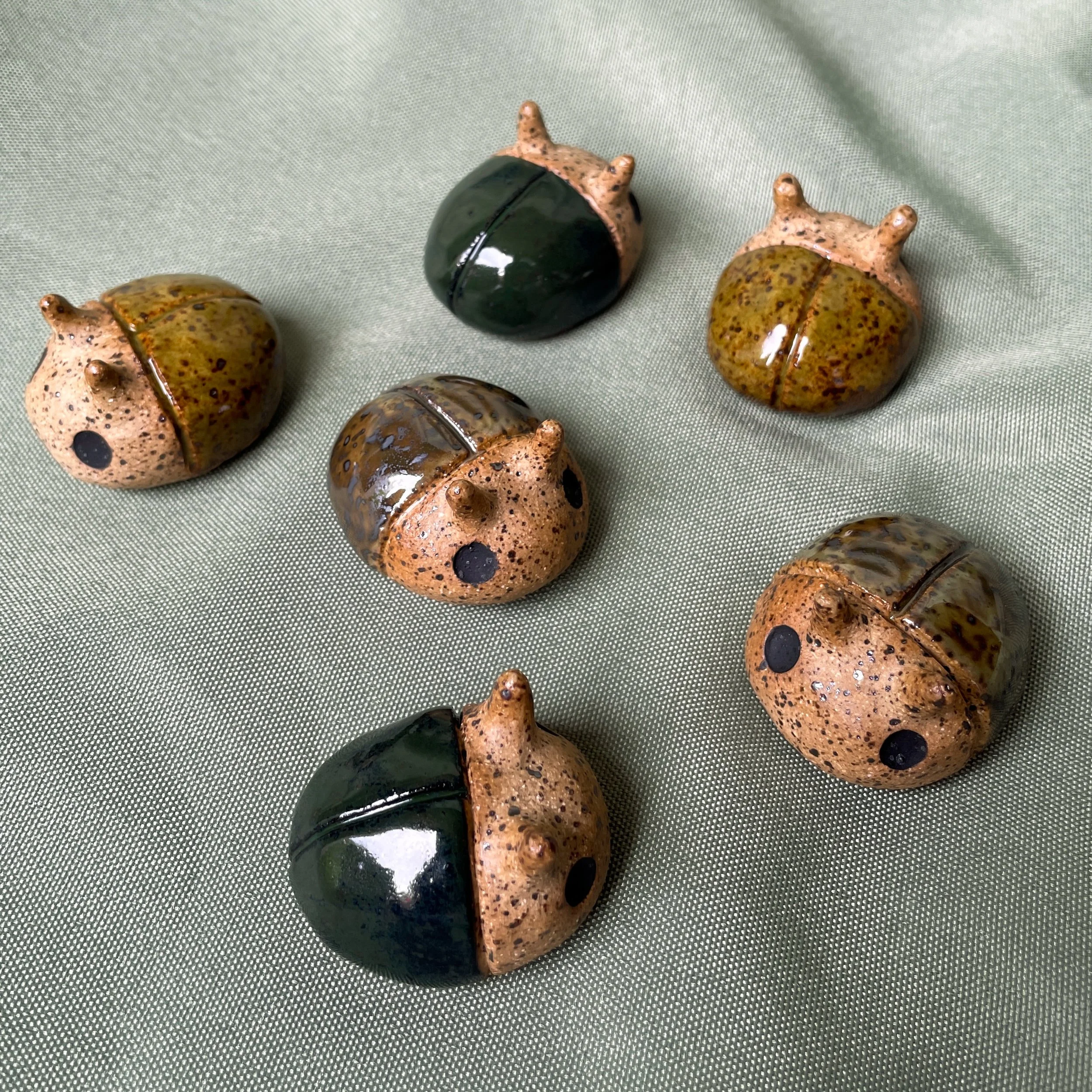 speckle beetles.JPEG
