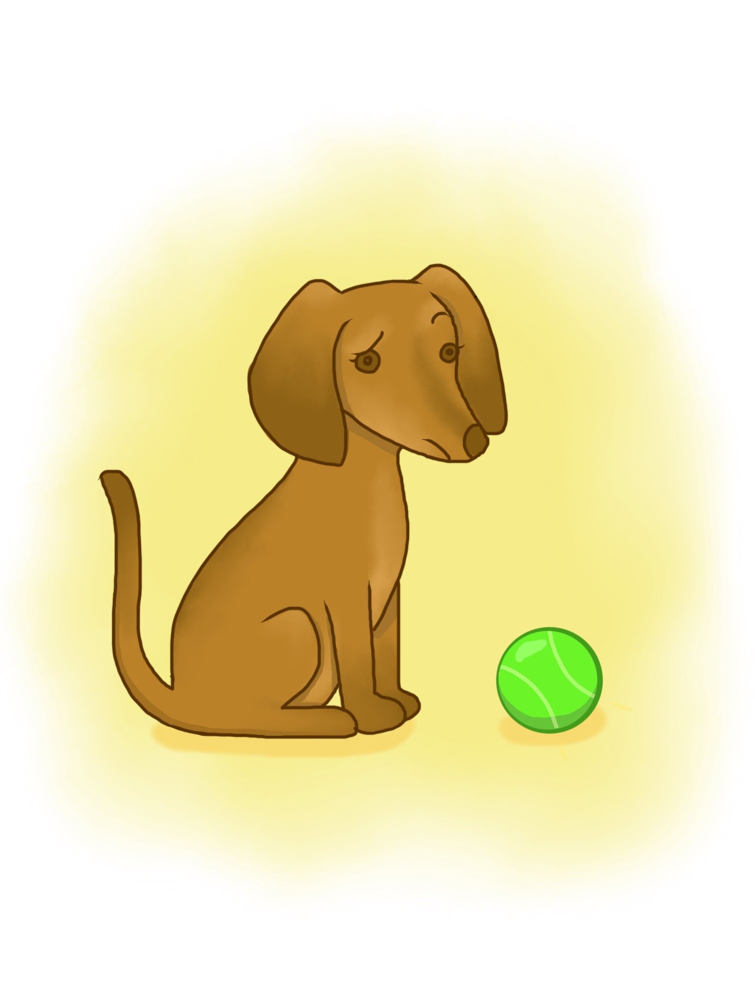 Fetch_.jpeg