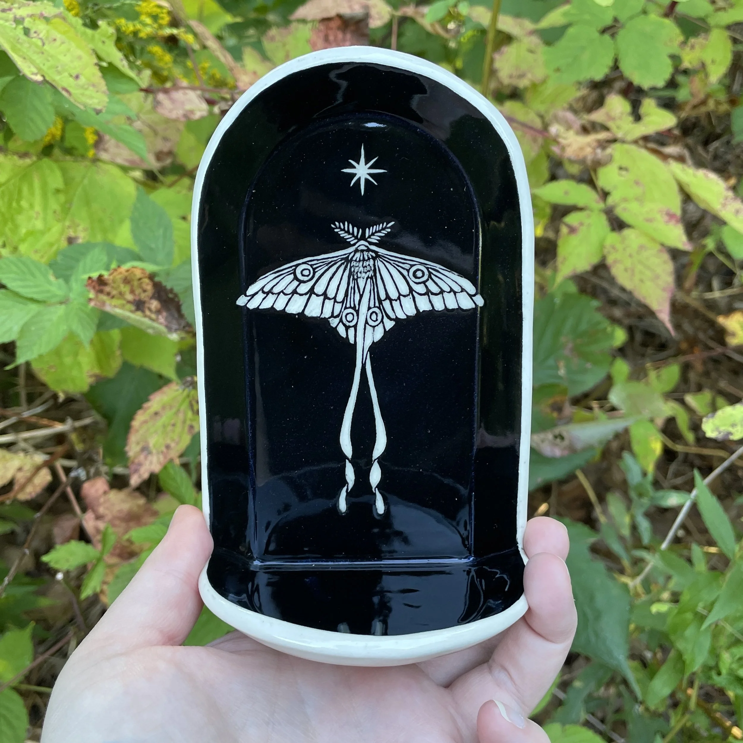 altar shelf comet moth 6.jpg