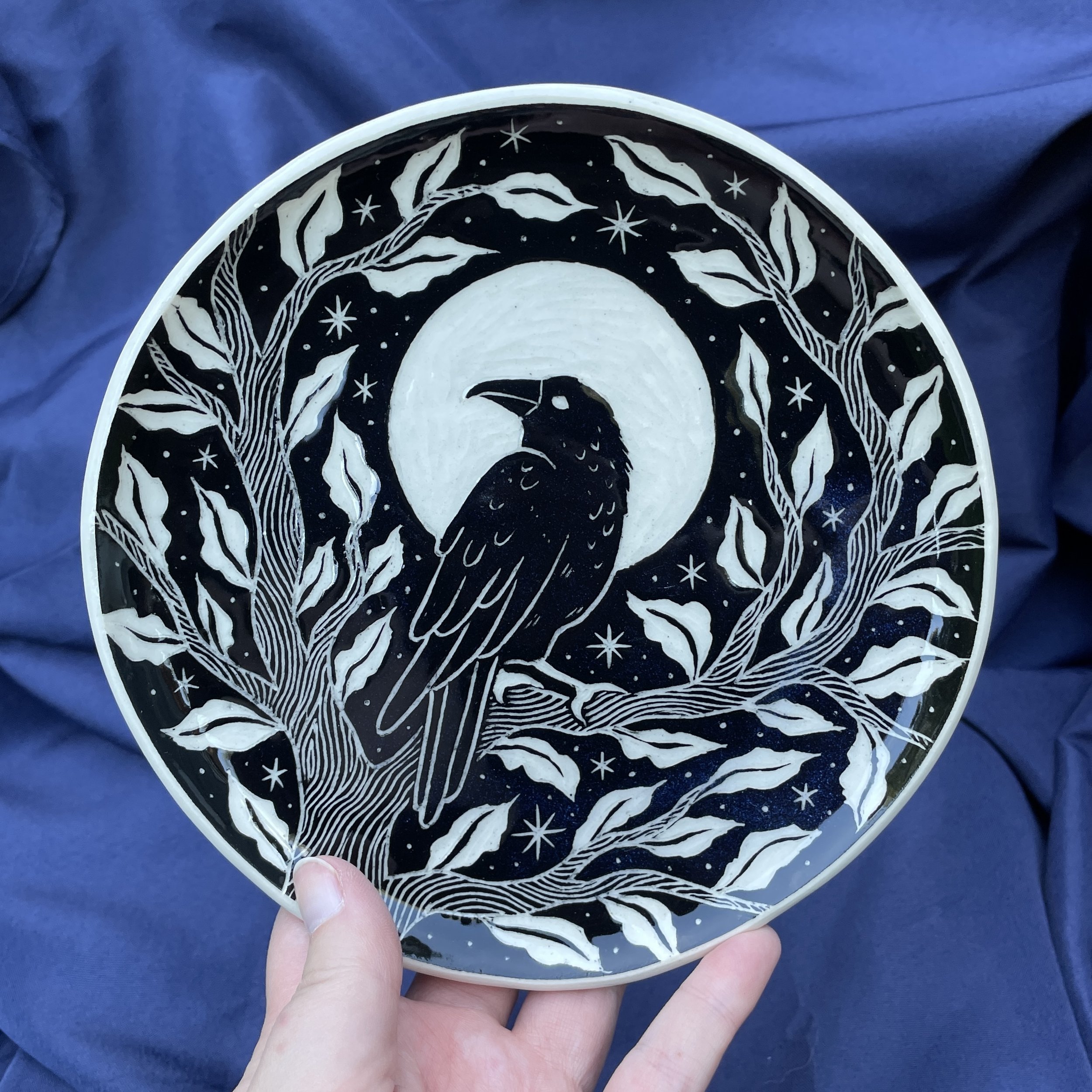 dish crow 1.jpg