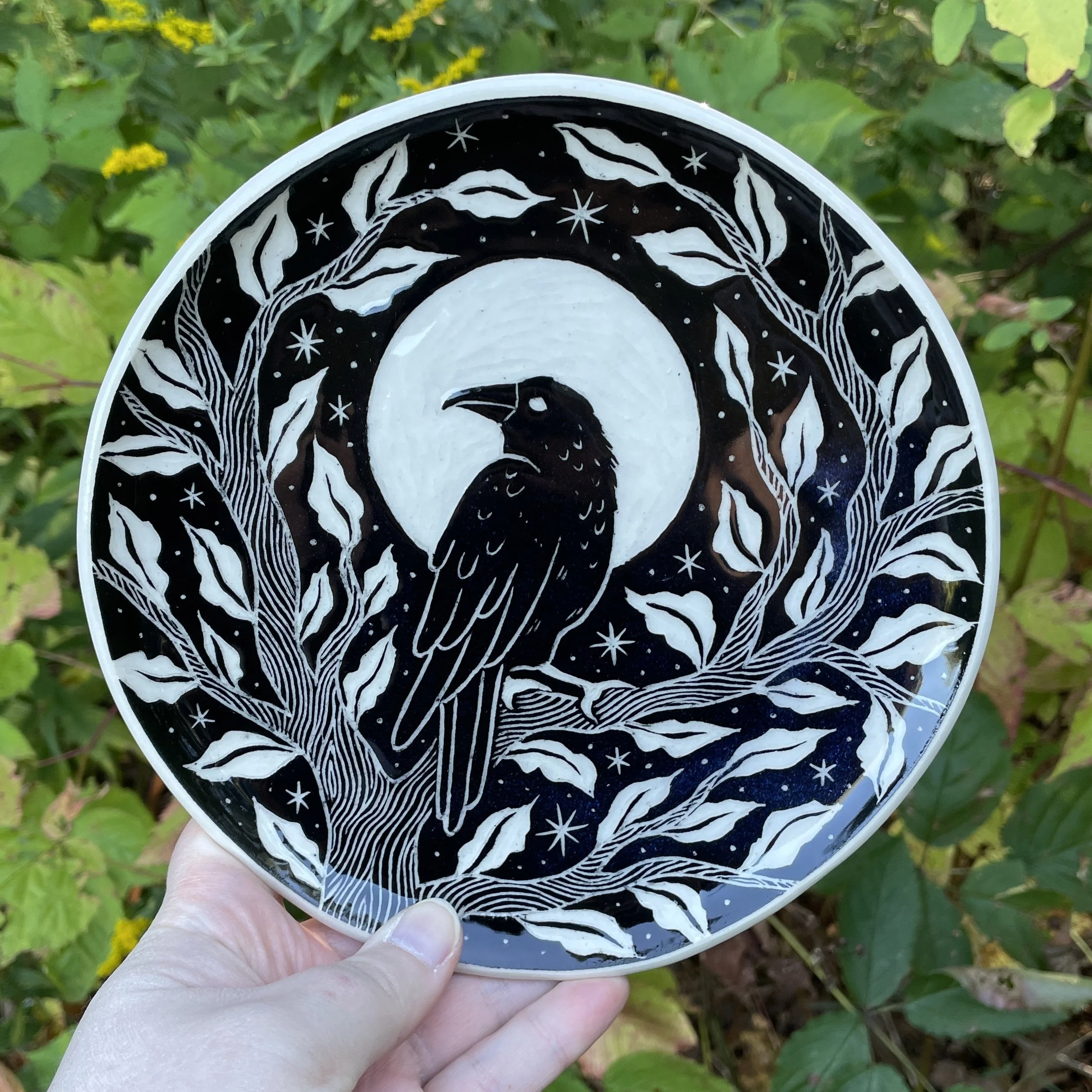 dish crow 5.jpg
