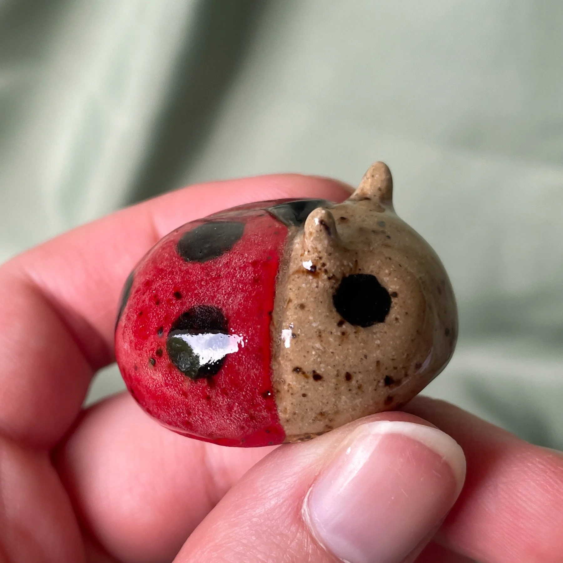 ceramic ladybug glossy side.JPEG