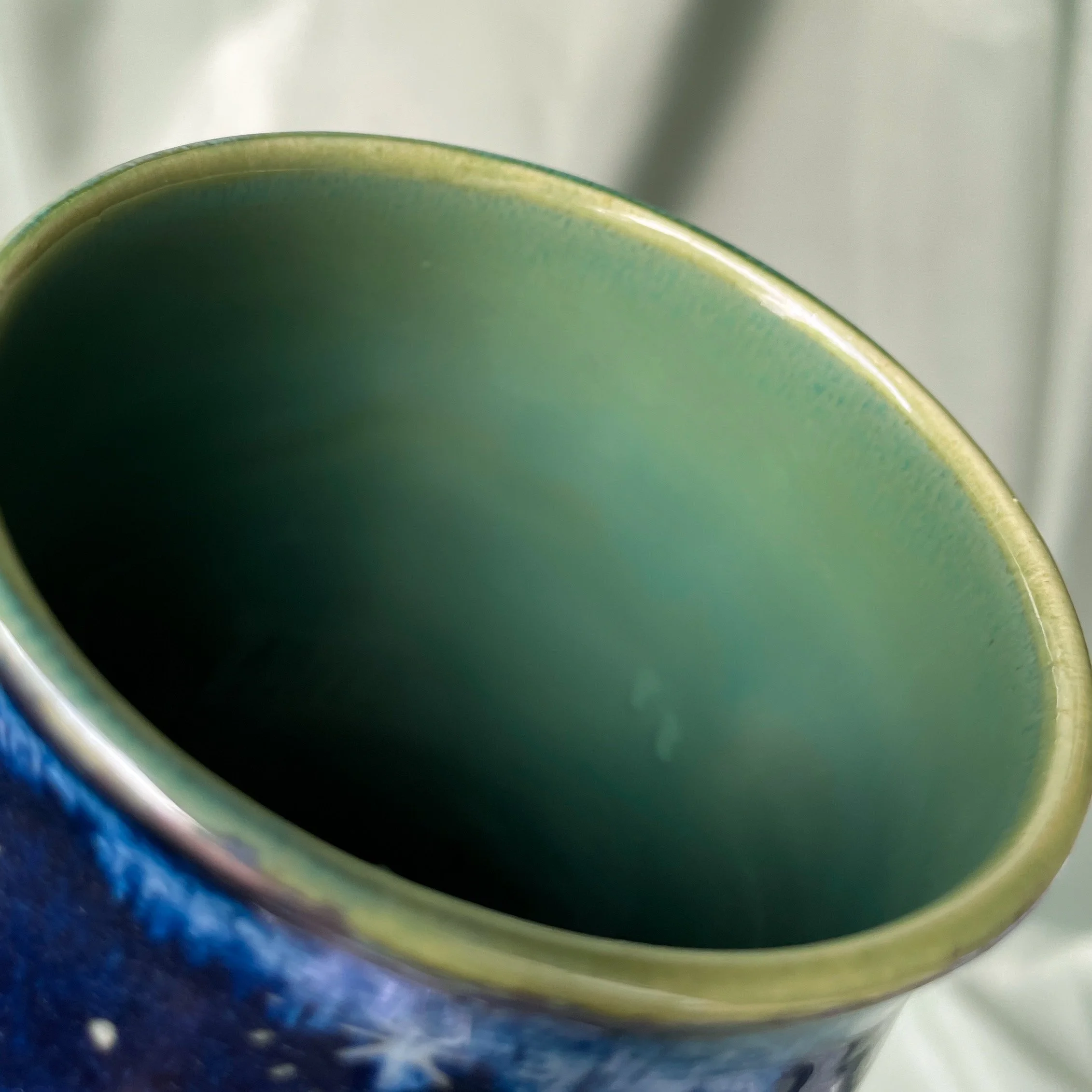 moth mug b interior.JPEG