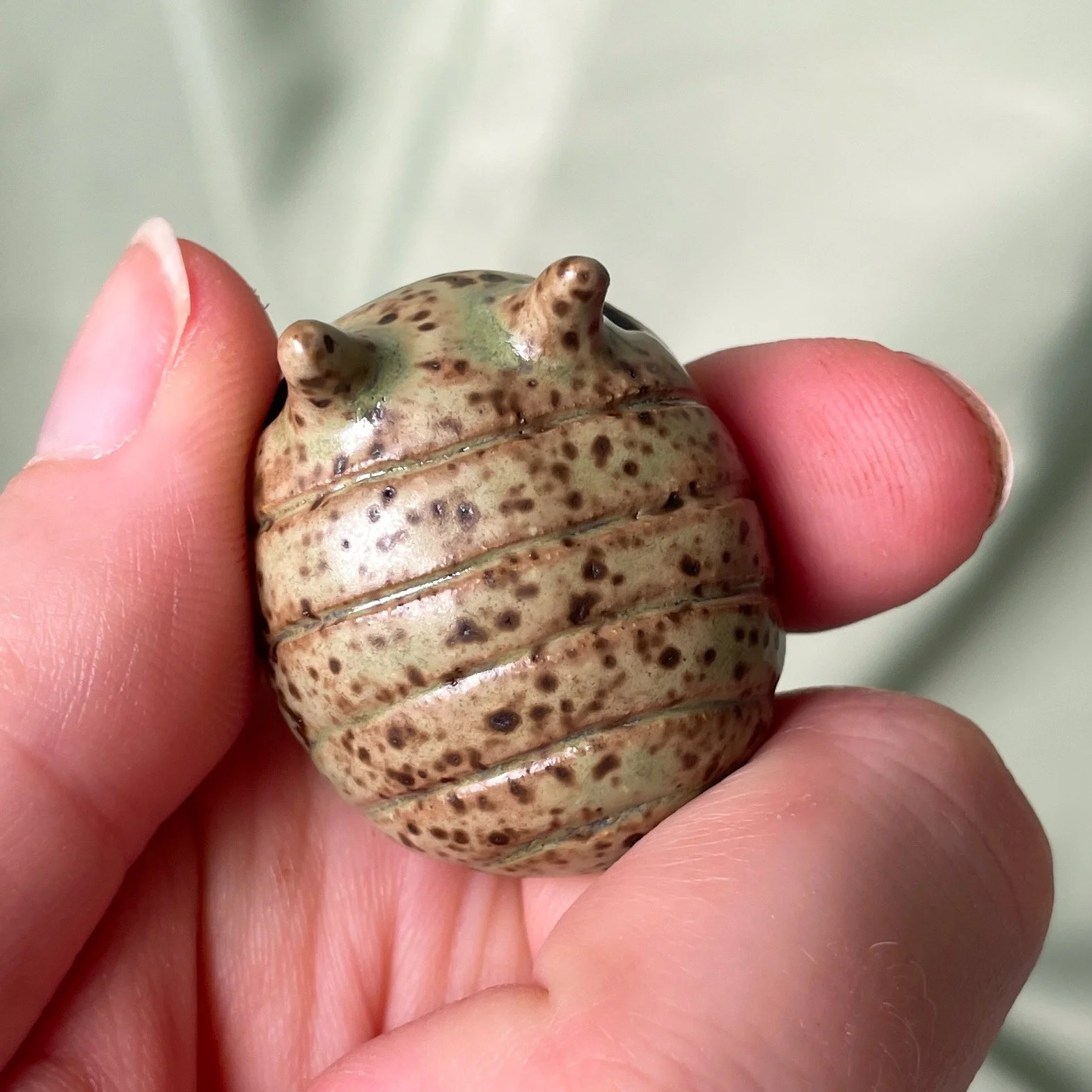 pillbug light speckle.JPEG