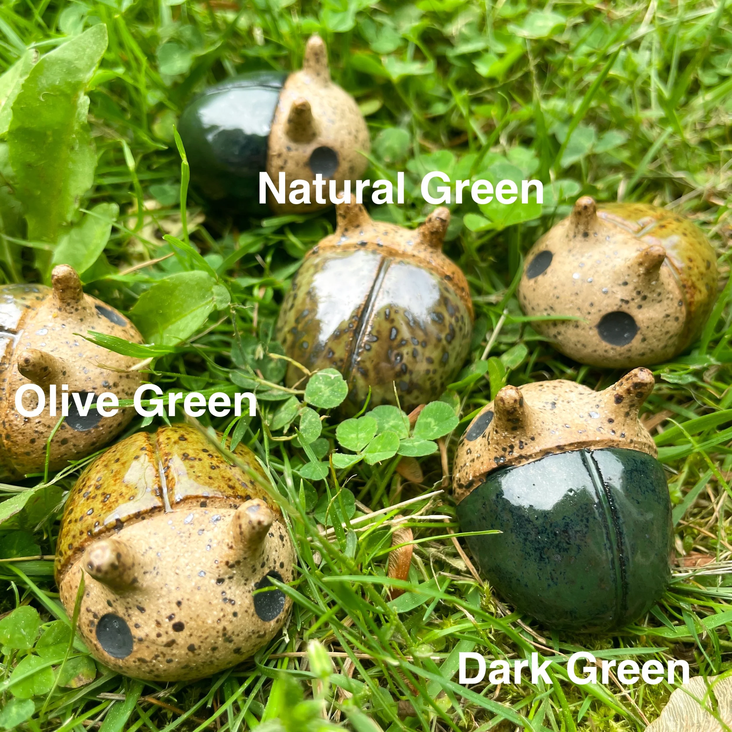 speckle beetles color names.JPEG