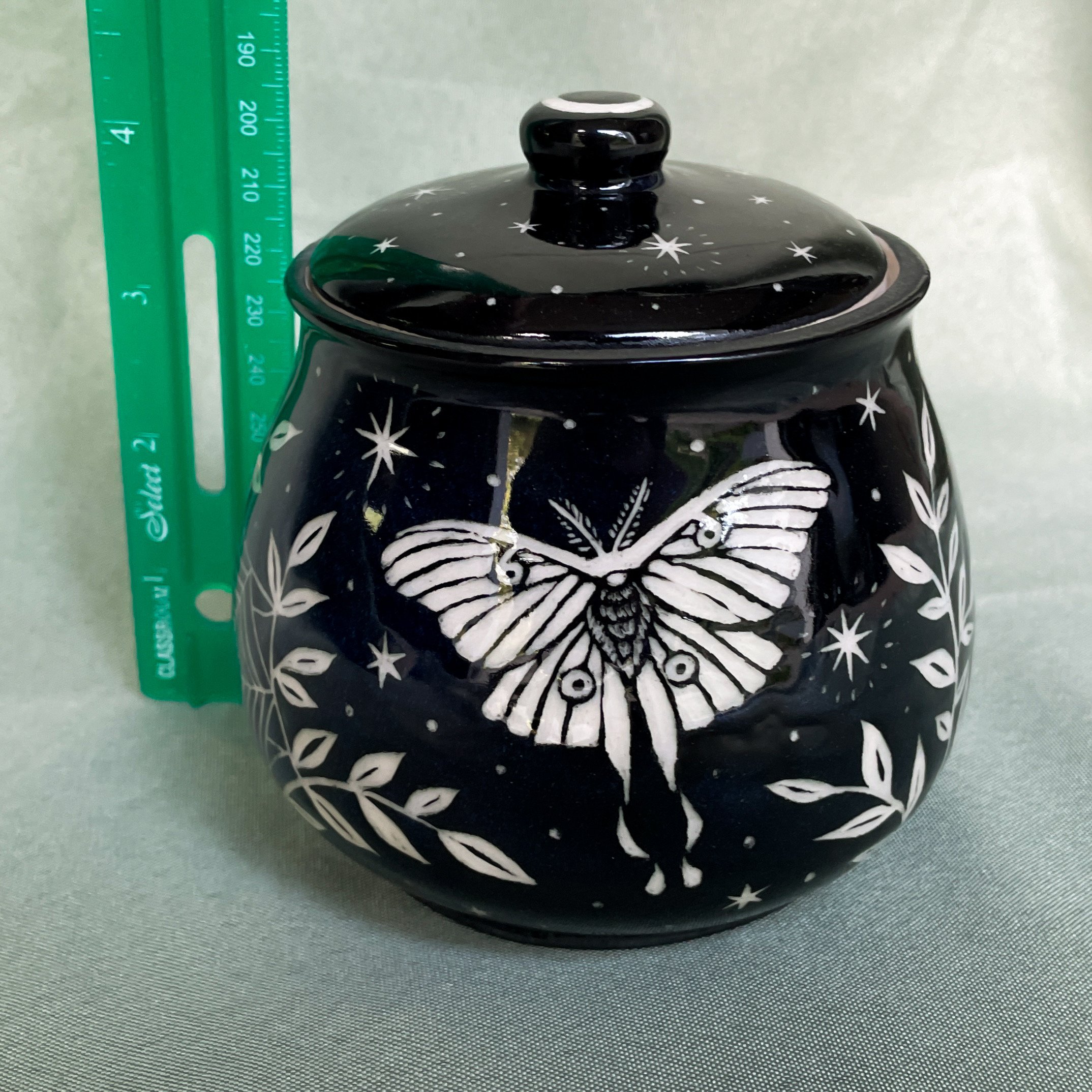 nocturnal creatures jar ruler.JPEG