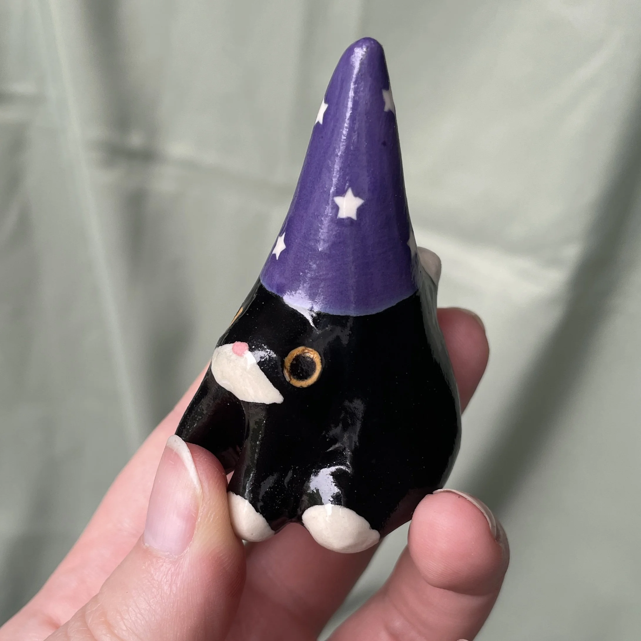 wizard cat tuxedo.jpg