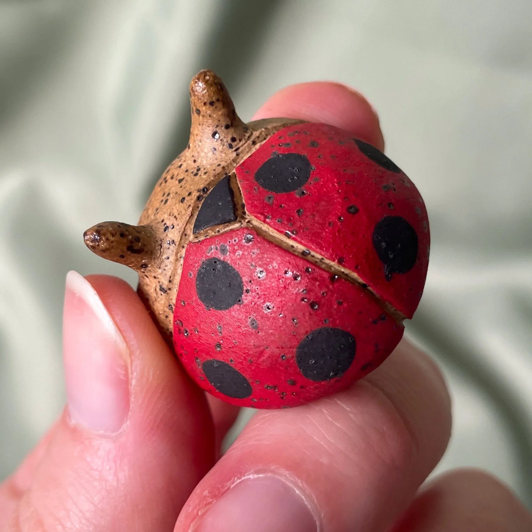 ceramic ladybug matte.JPEG