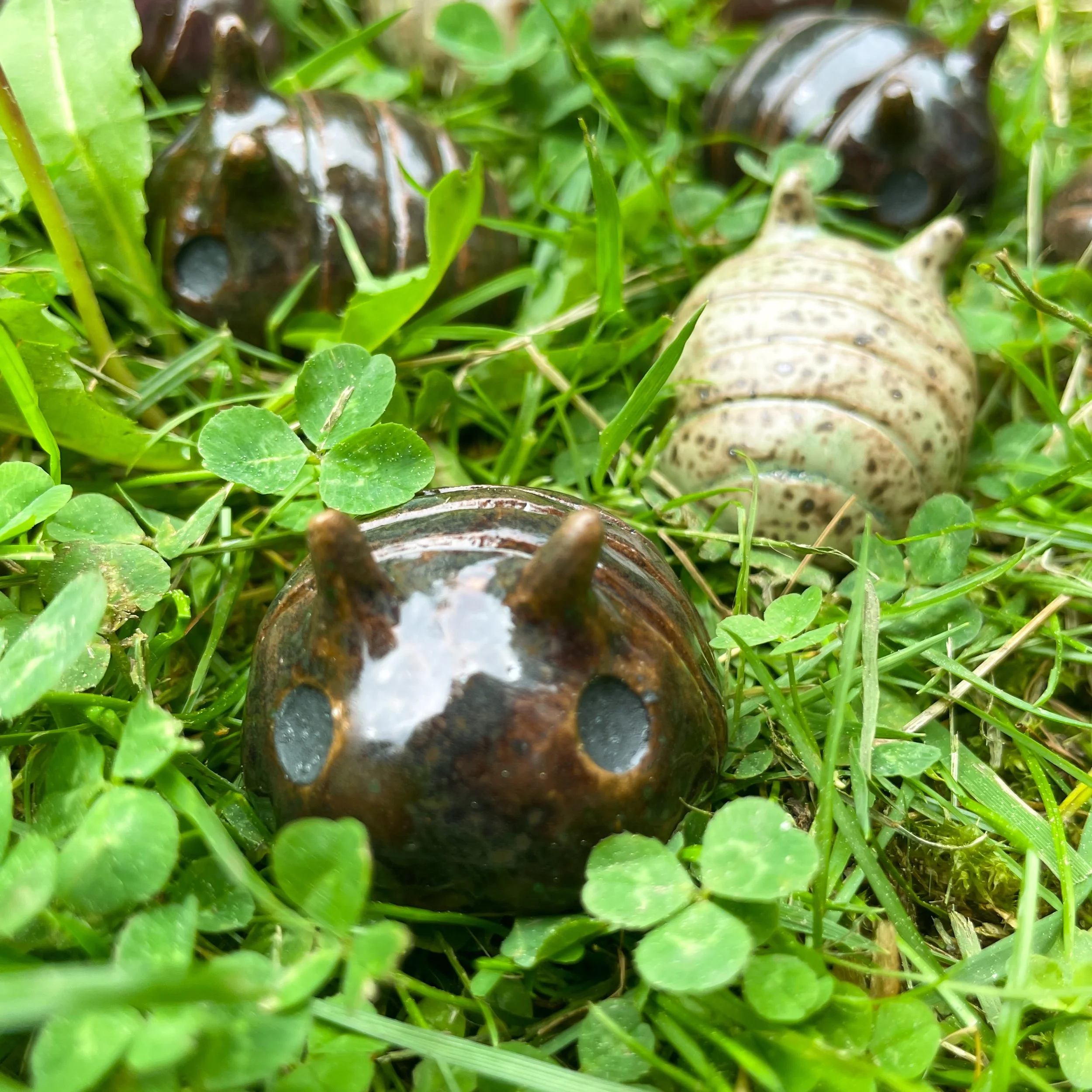 pillbugs grass 2.JPEG