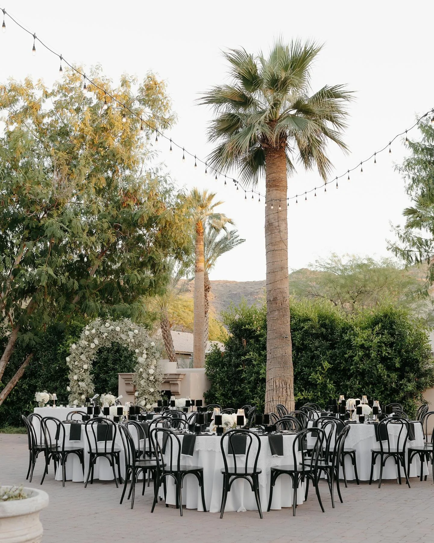 Kicking off the 2026 season with a warm Arizona spring evening, and details from Annabelle and Jonathan&rsquo;s garden wedding. 

Had the best day second shooting alongside the incredible @crbcreativephotos 🕊️