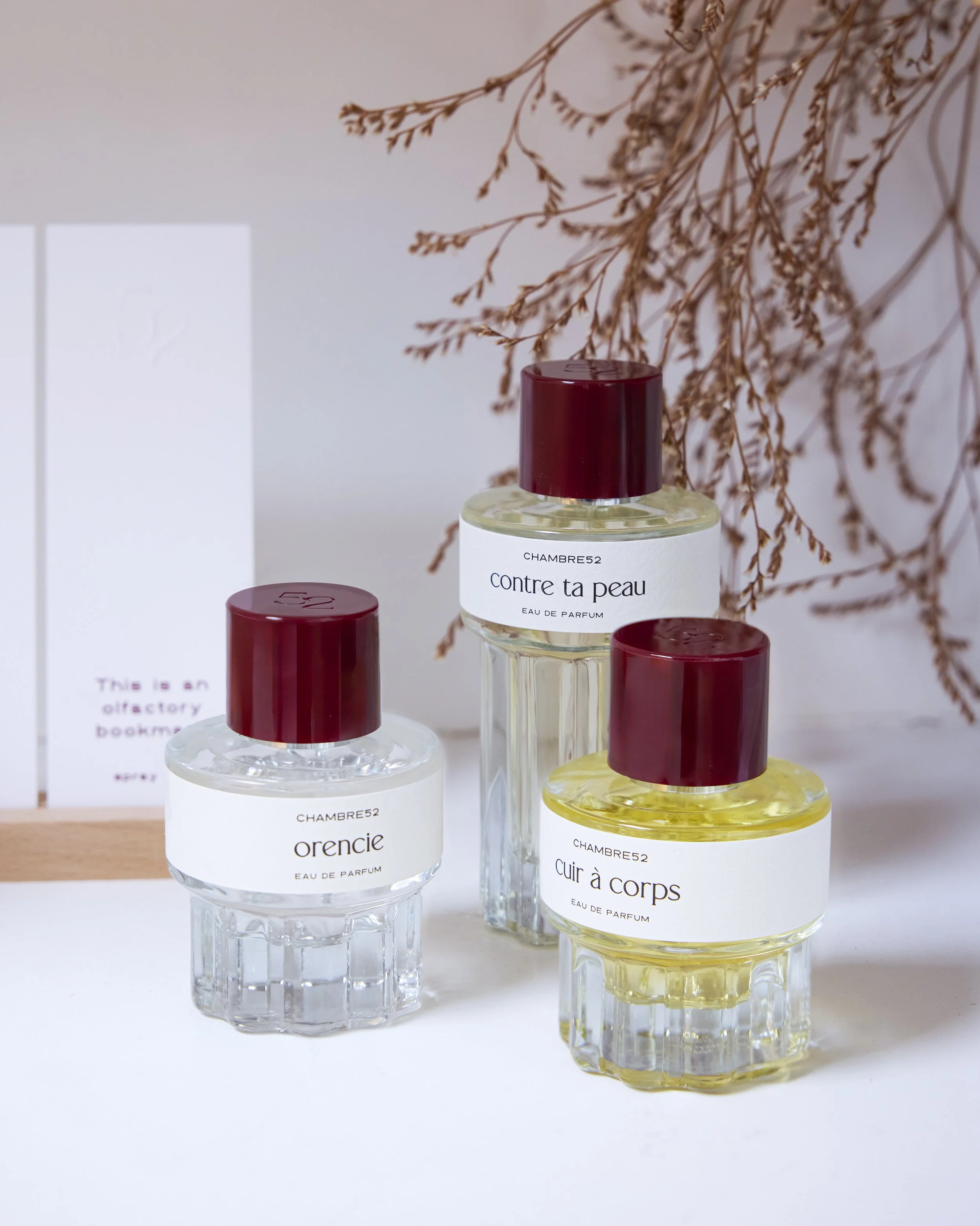 Chambre 52 - 16.07.250528 copy.jpg