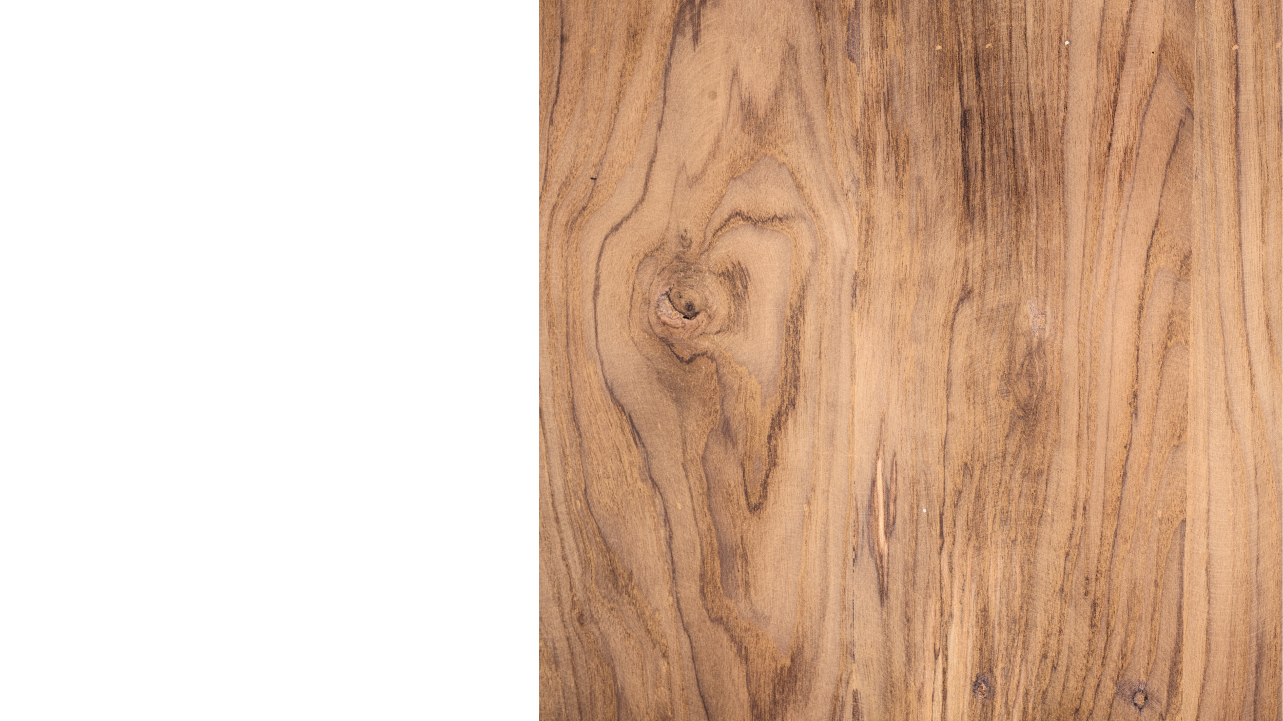 website backgrounds (31).png