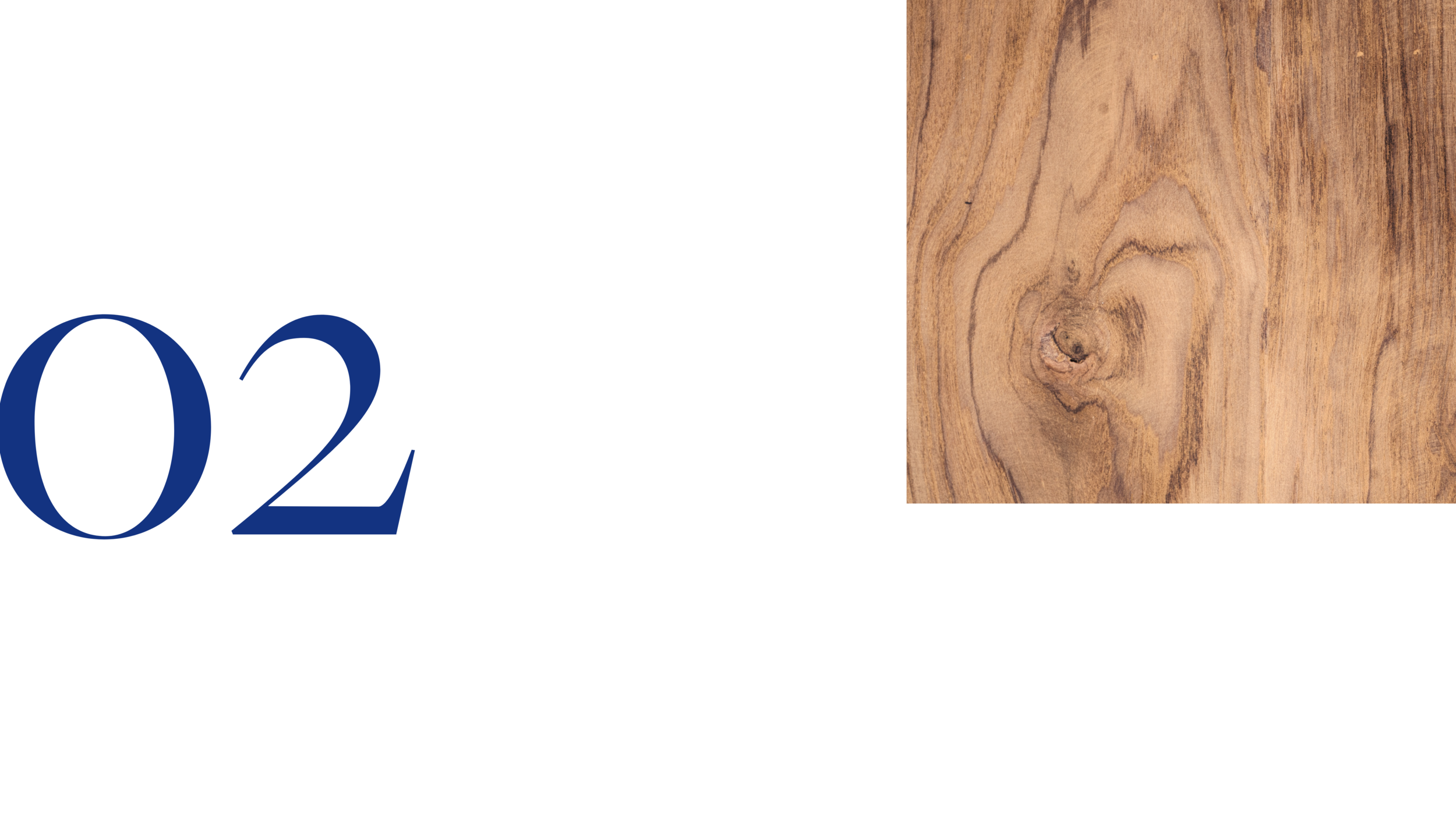 website backgrounds (42).png