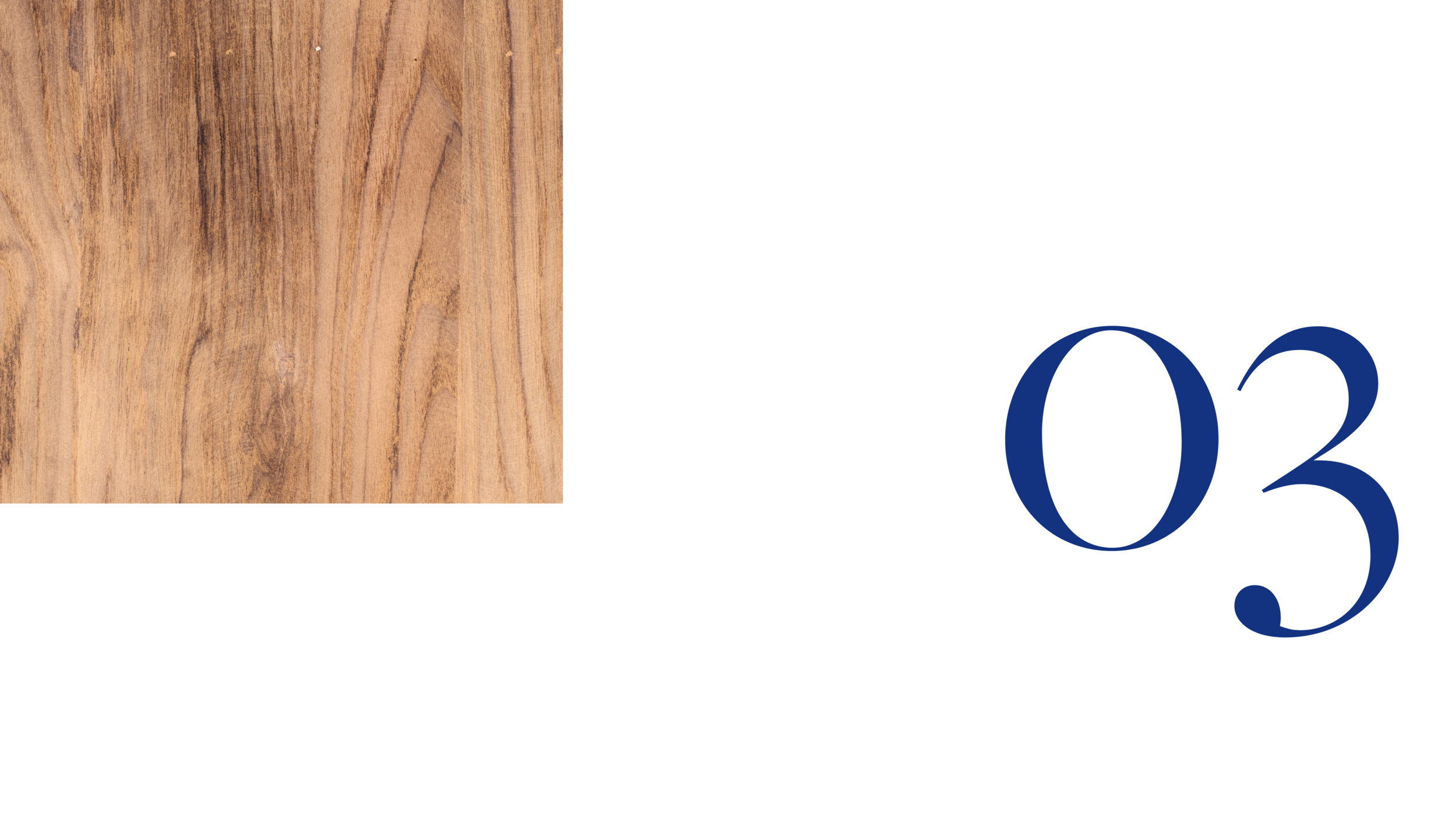 website backgrounds (43).png