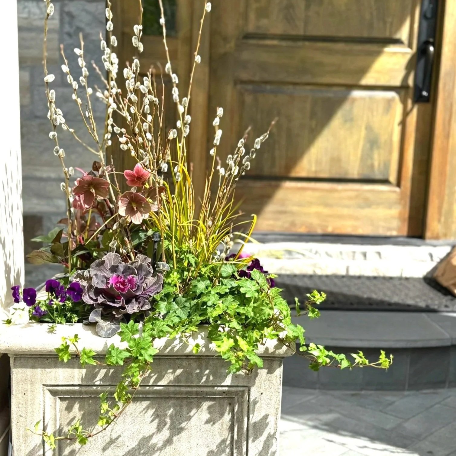 SIGNATURE - FULL SUN