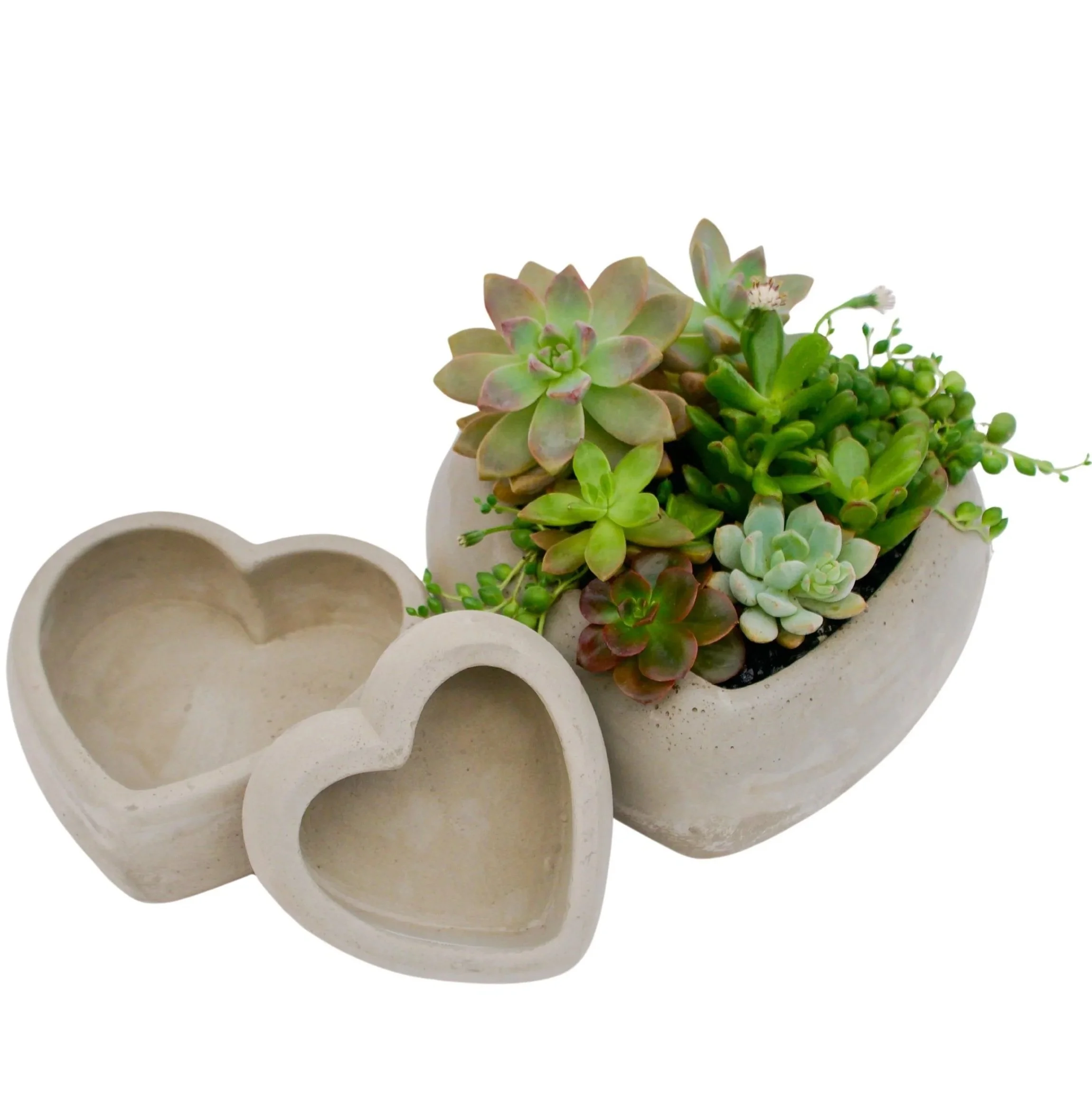 For the Love of Planters