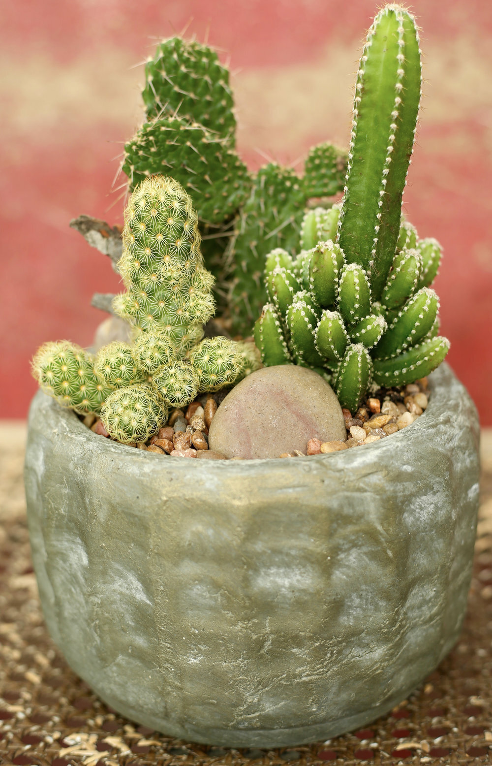 Succulent Boutonniere — Cactus & Tropicals