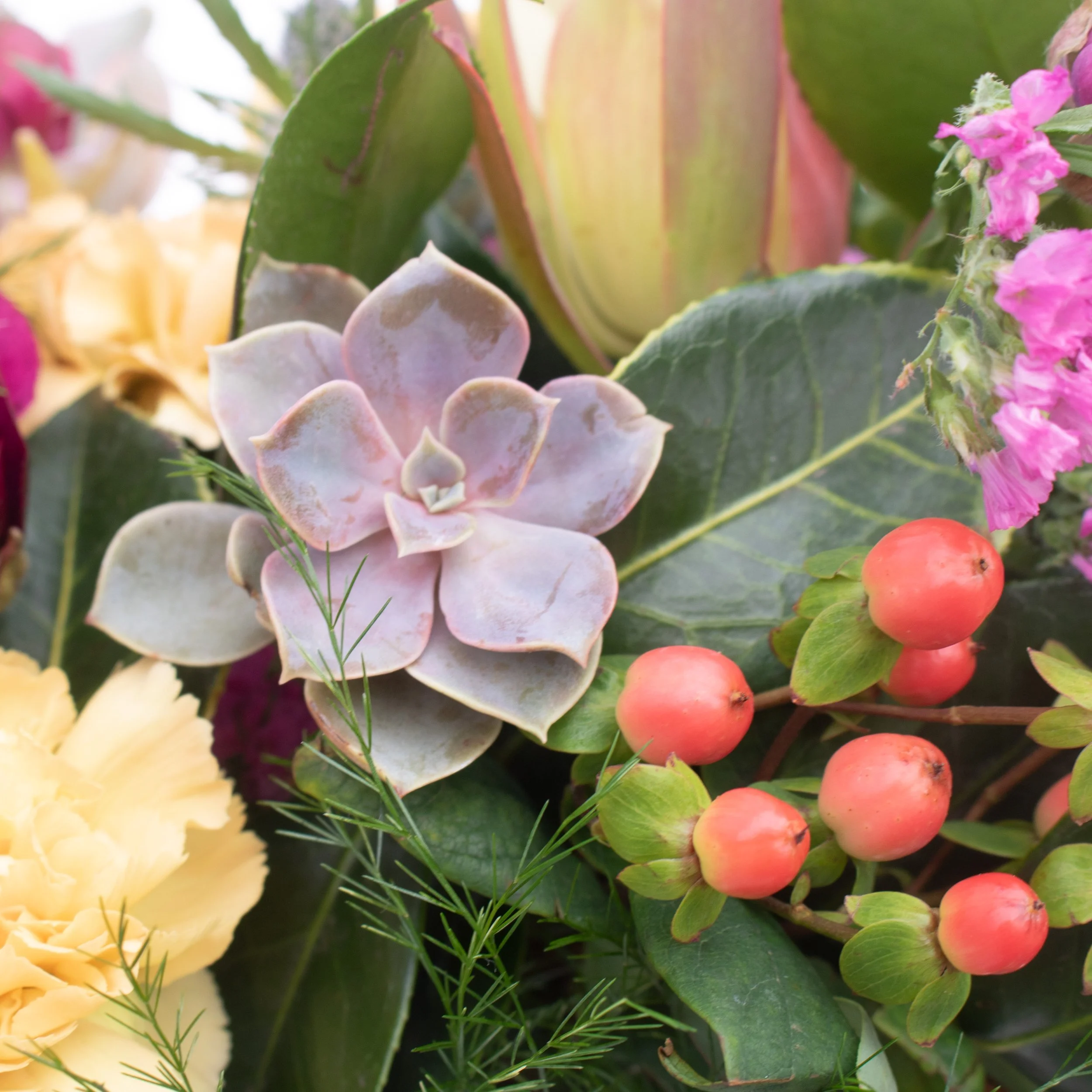 Cut Floral — Cactus & Tropicals
