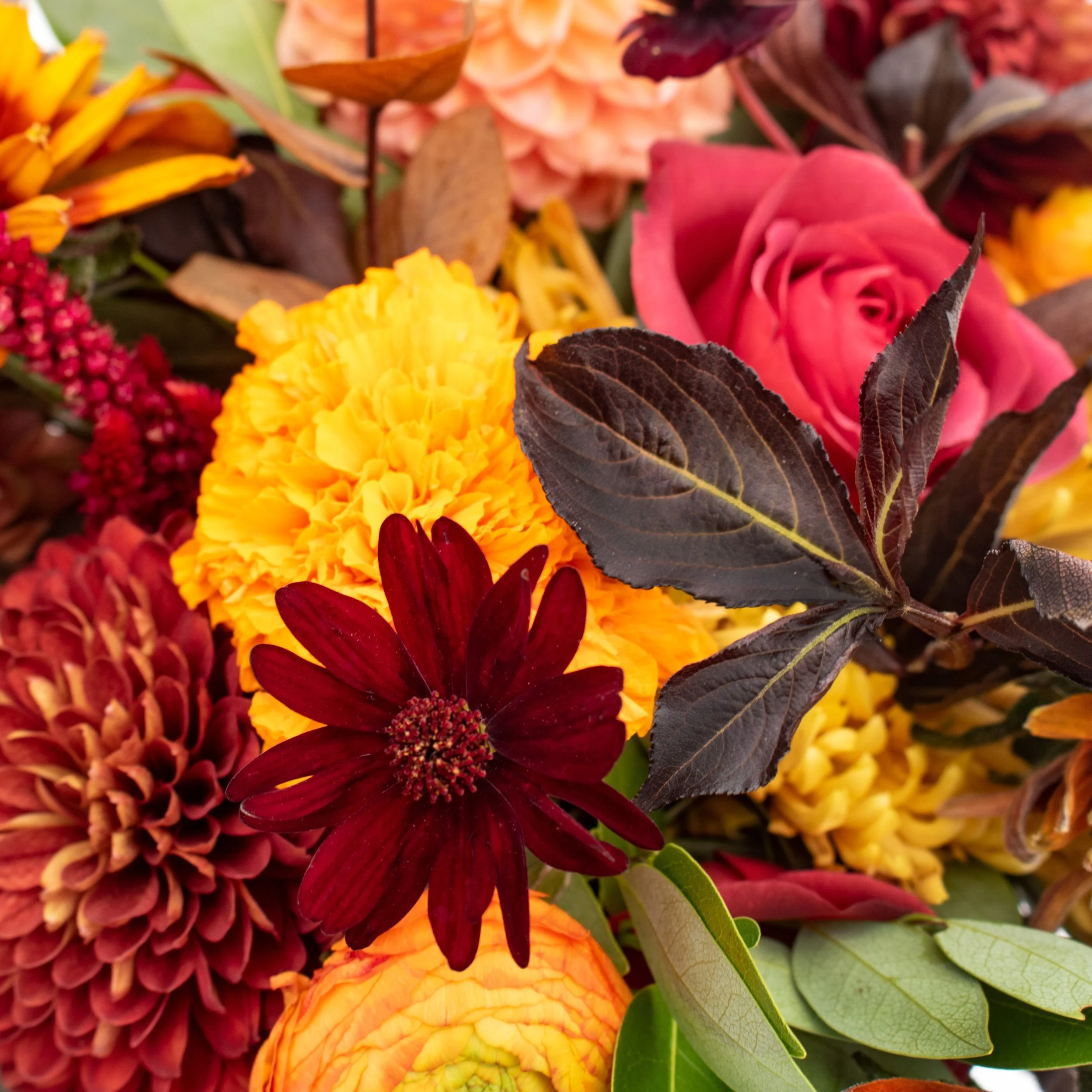 Cut Floral — Cactus & Tropicals