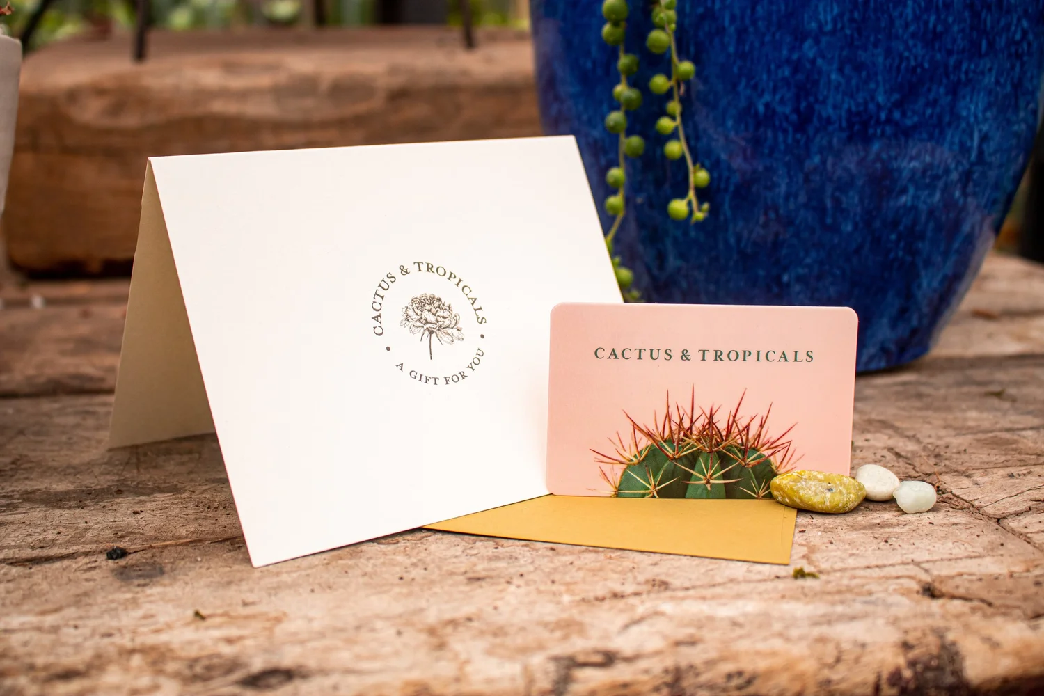 Gift Card  Cactus & Tropicals