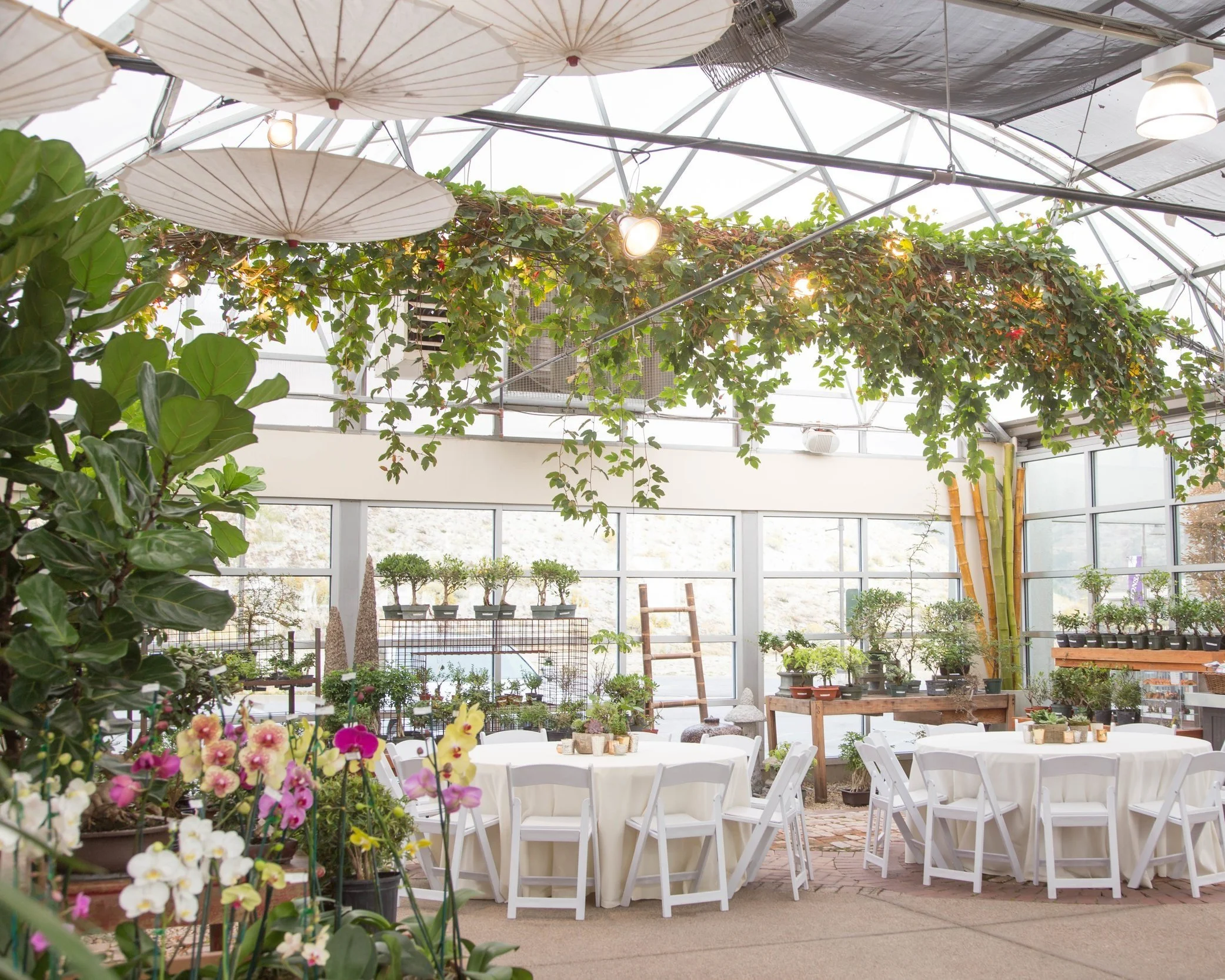 Greenhouse reception setup at Cactus and Tropicals with paper parasols hanging above round tables surrounded by dense tropical plants