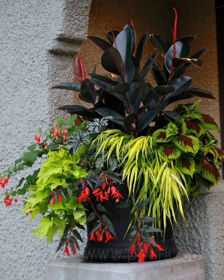Colorful container garden plantings for Draper landscapes.jpg