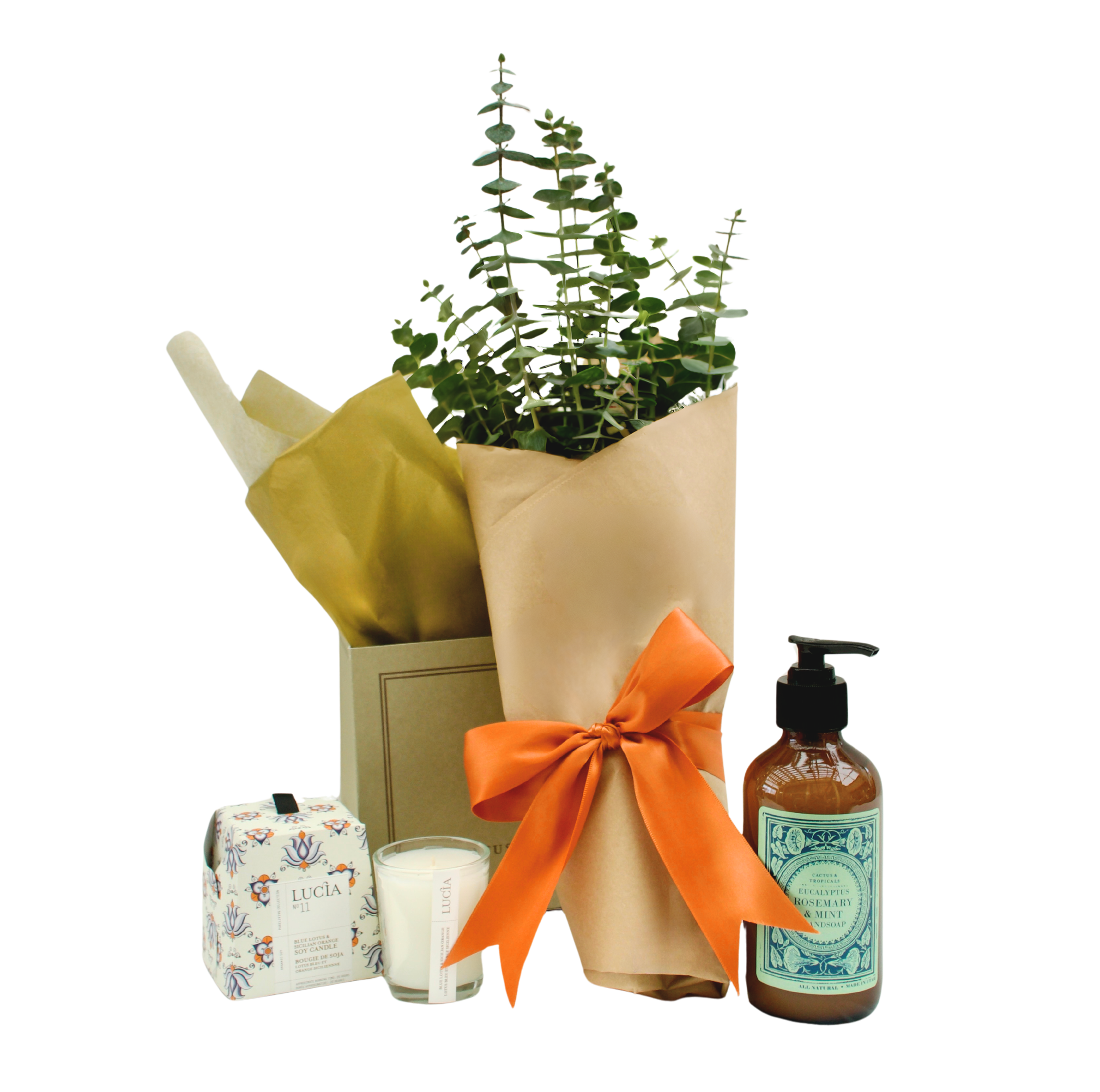 Fresh Eucalyptus Spa