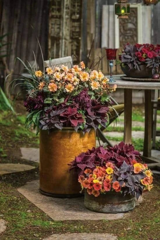 rich-rusty-fall-container-design.jpg