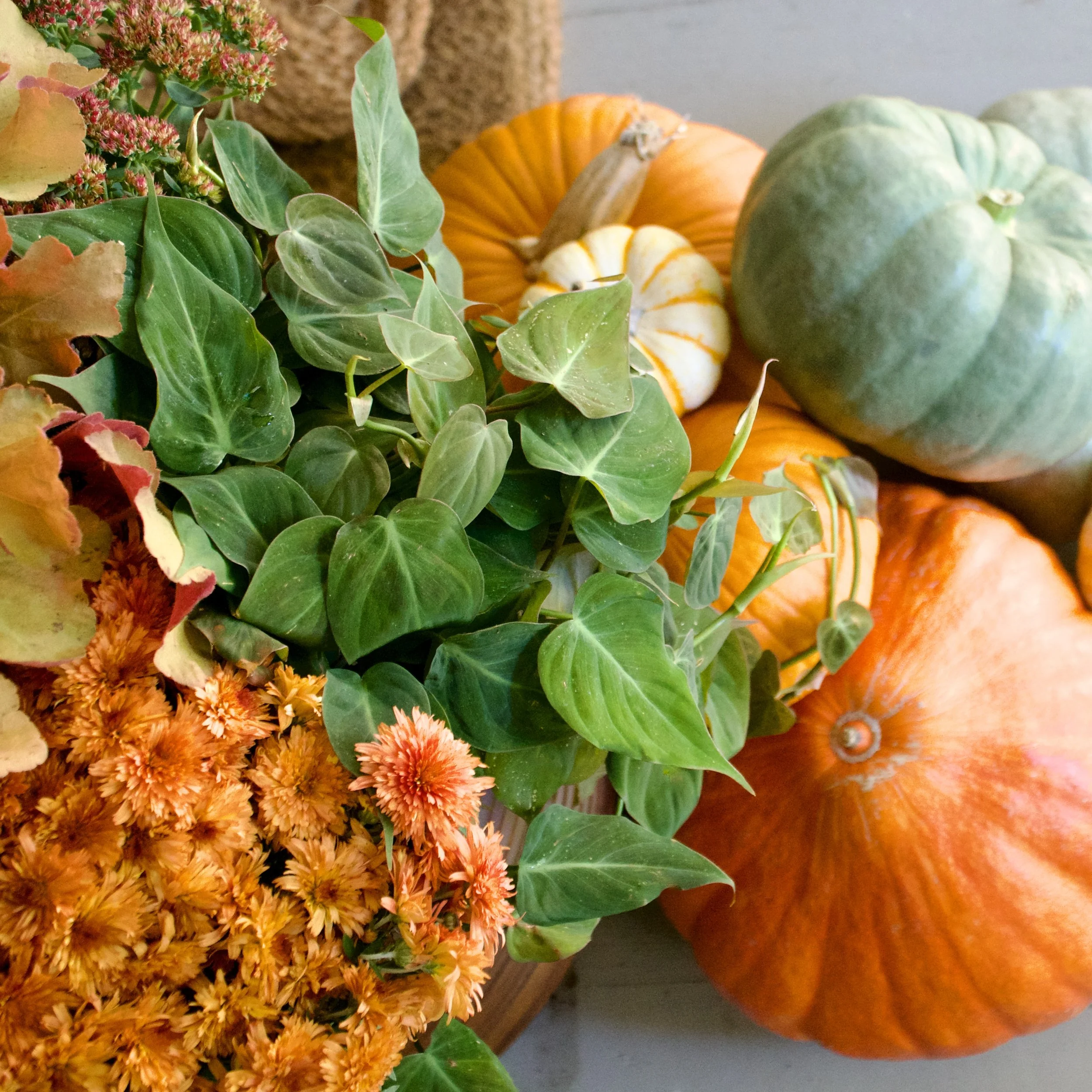 Fabulous Fall: How To Refresh Your Outdoor Container Gardens