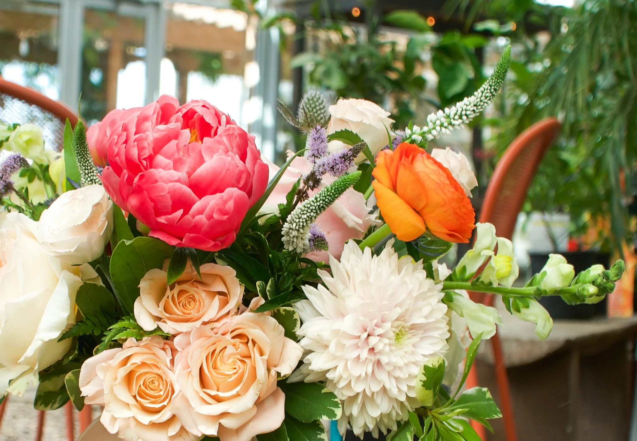 Peonies - One of our Favorite Perennials