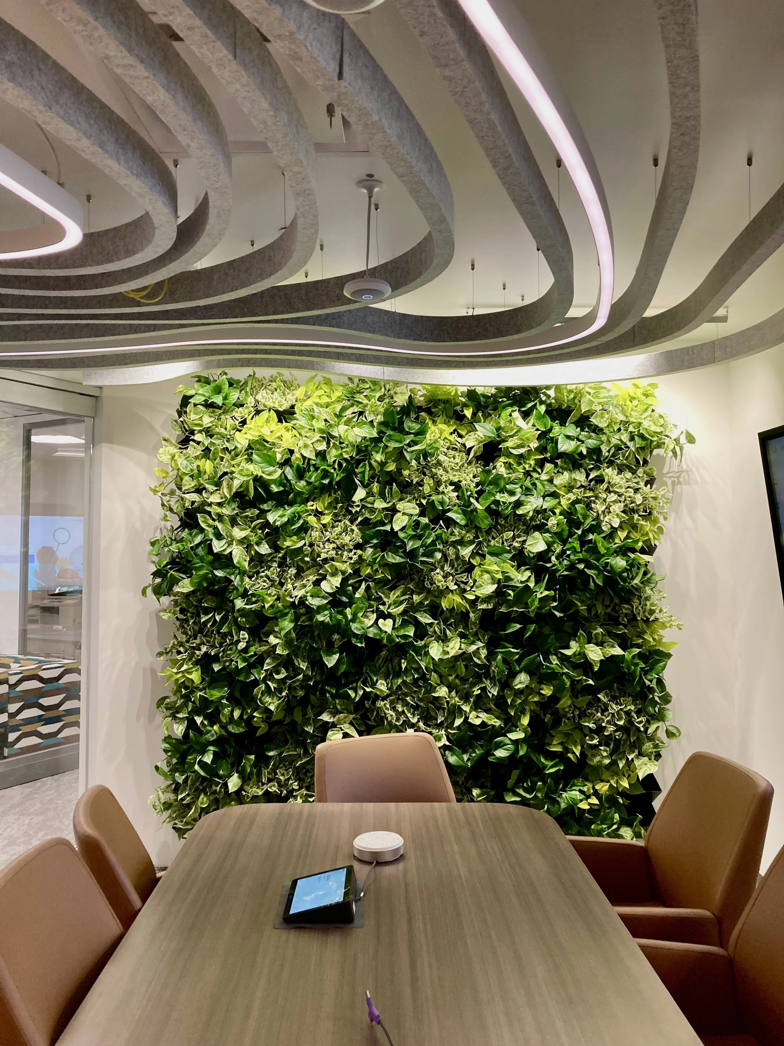 mixed pothos plant wall.jpg
