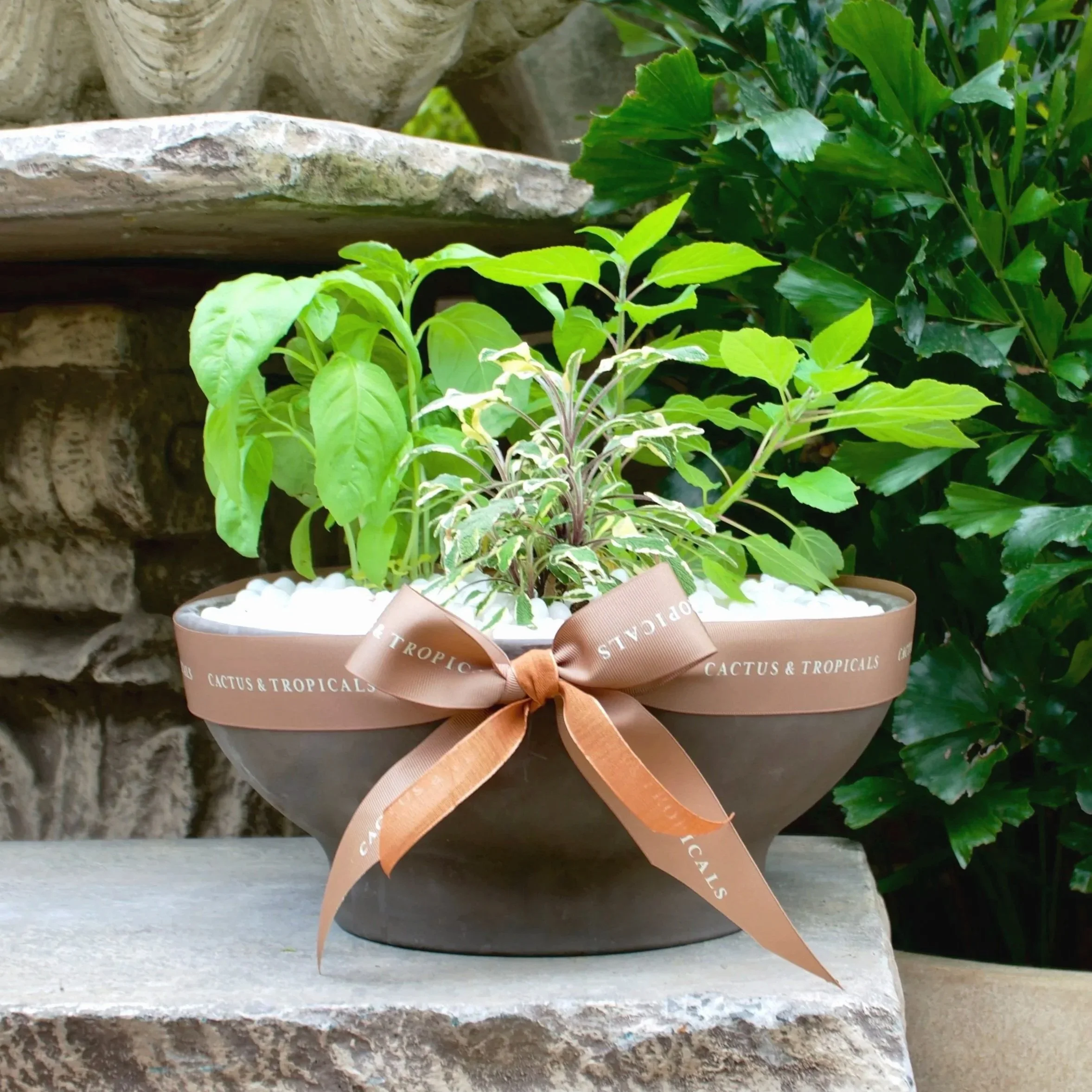 Mothers%252BDay%252BHerbs.jpg (Copy)