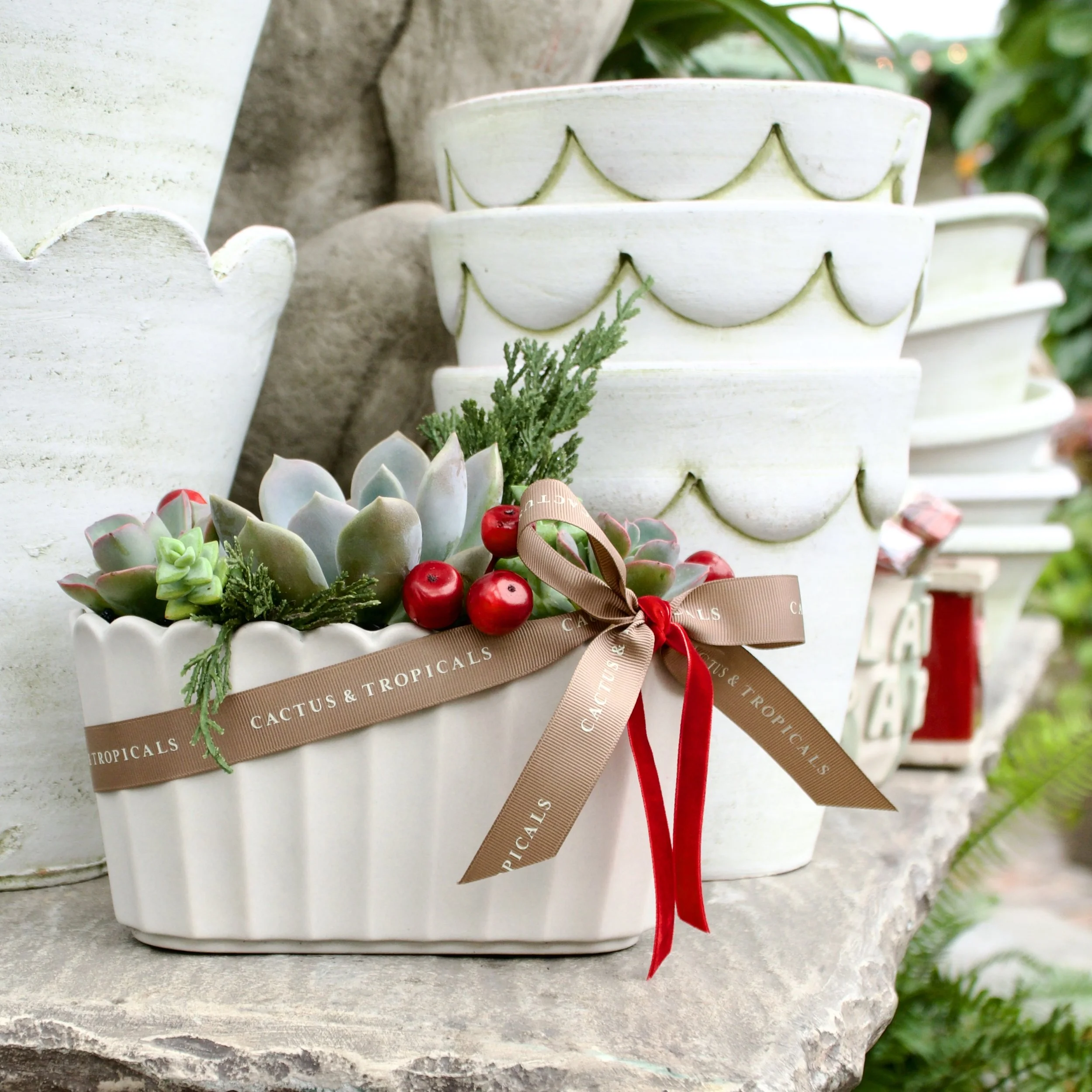 DSC01673 copy.jpeg (Copy)