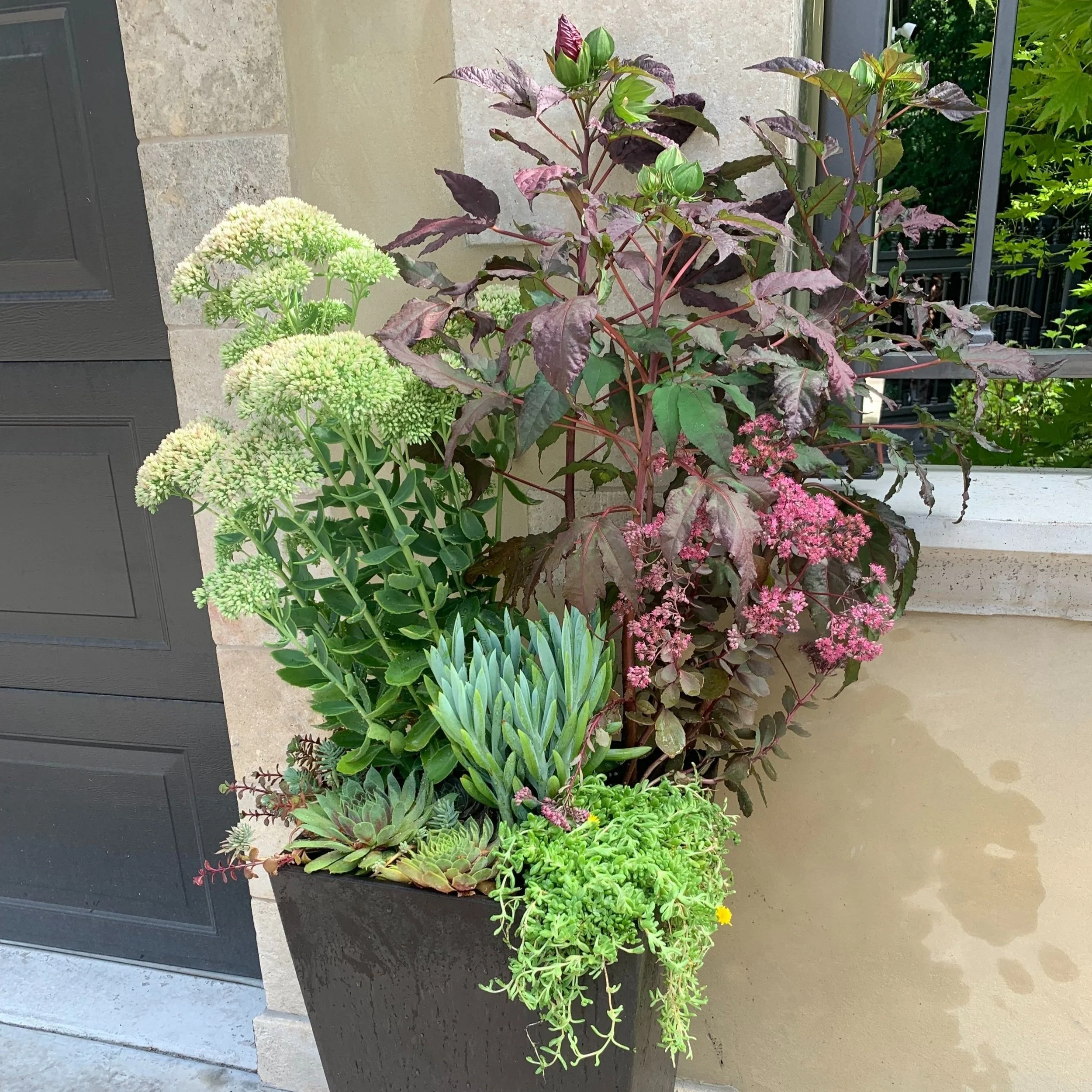 Waterwise+%281%29.jpg