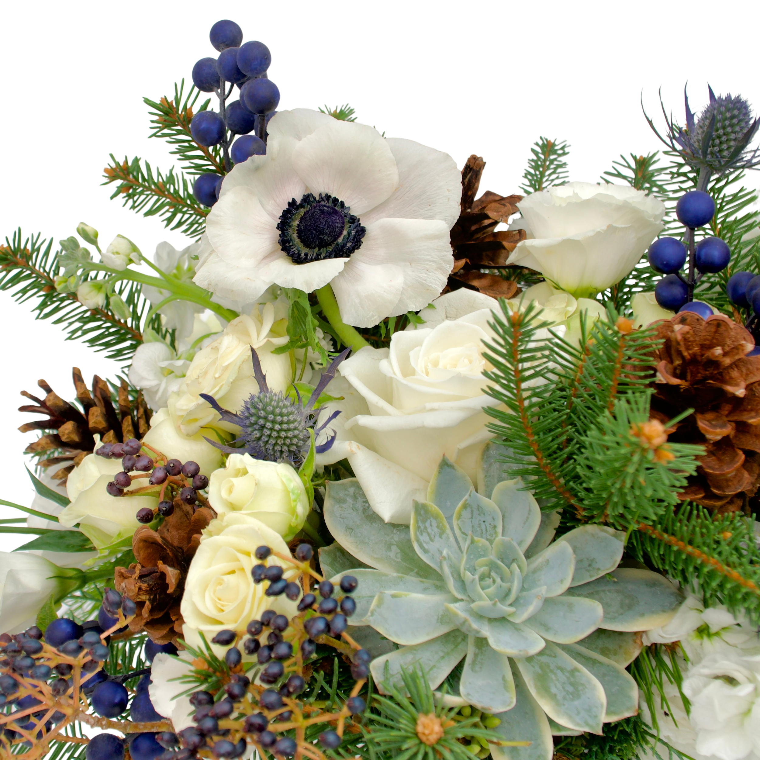 41704b6d-ca82-455f-9fa0-10a45c4239bb.png