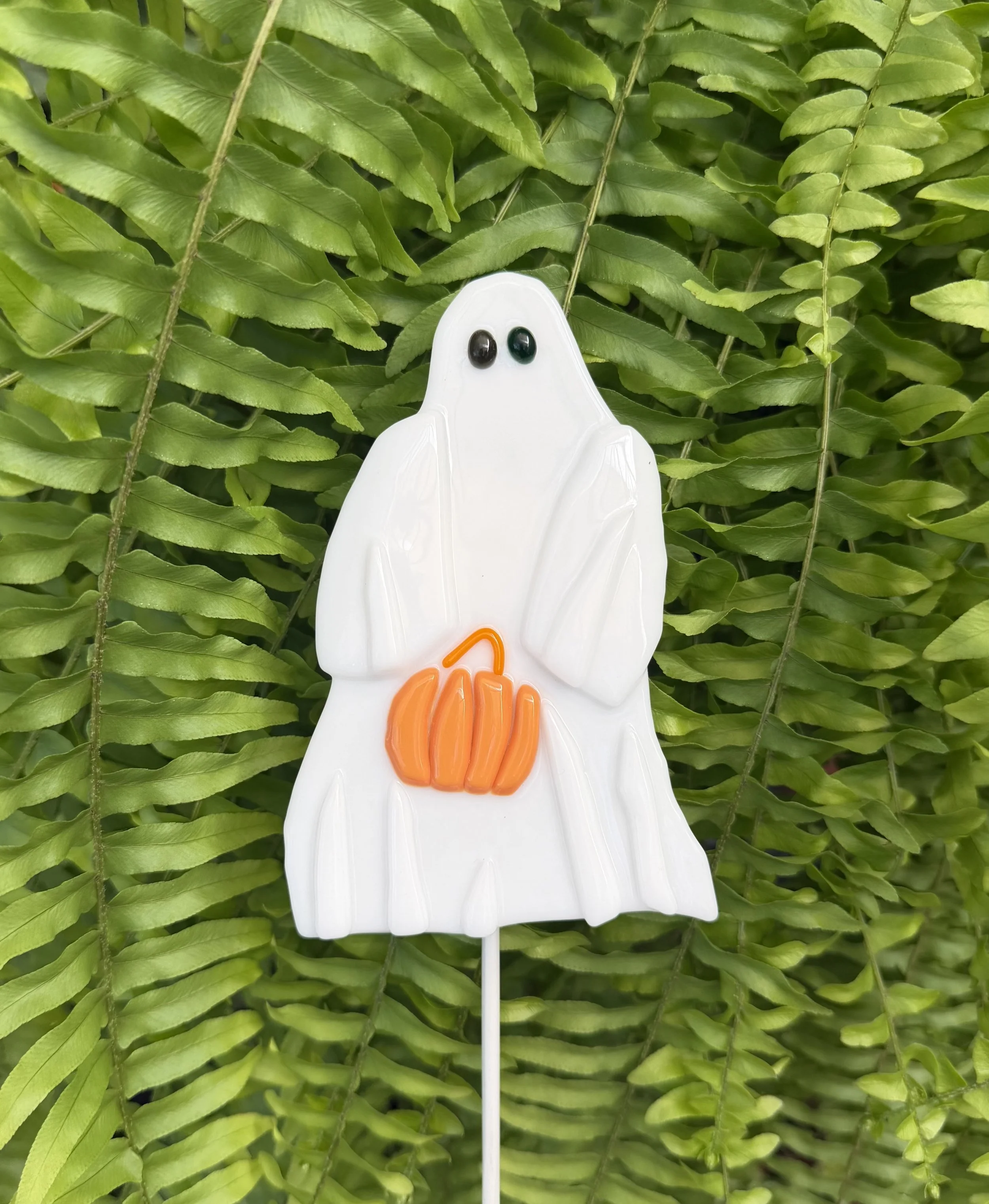 IMG_3112.jpeg